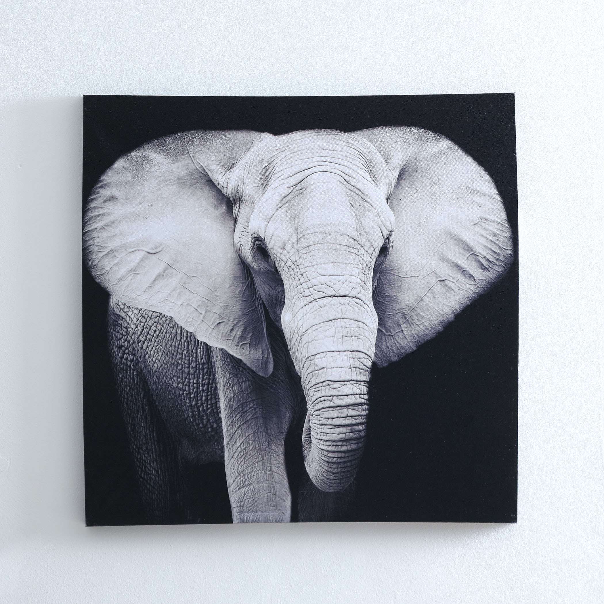 Elephant Printed Canvas Framed Picture-PROMO_HB_AE_B1G1_250925-image-2
