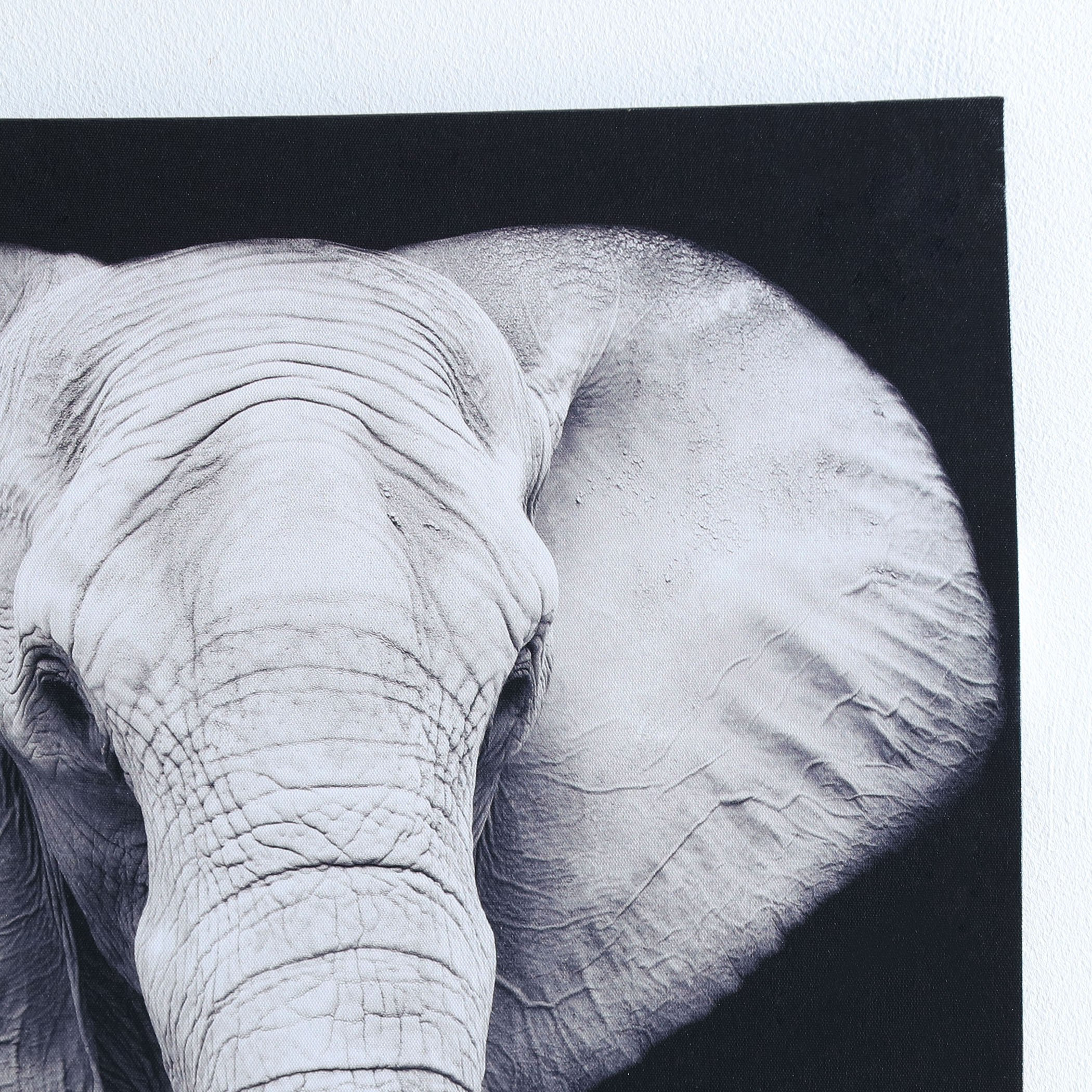 Elephant Printed Canvas Framed Picture-PROMO_HB_AE_B1G1_250925-image-3