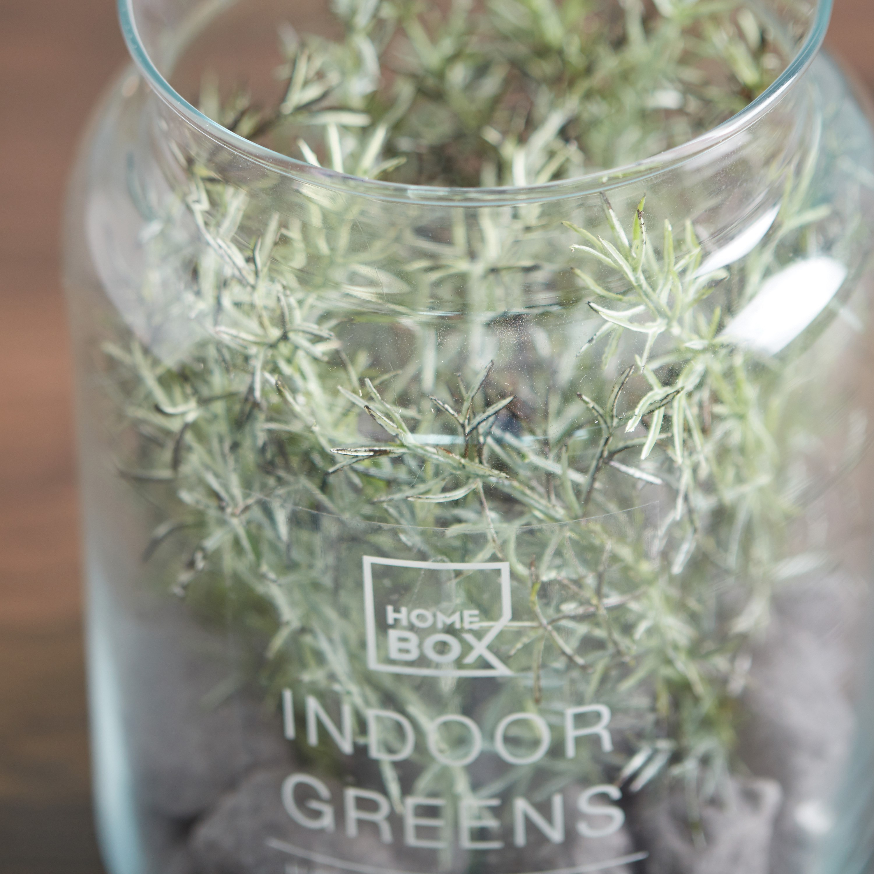 Floral Arrangement in Glass Jar-hbxdecorandfurnishings-homeaccessories-artificialflowersandplants-image-3