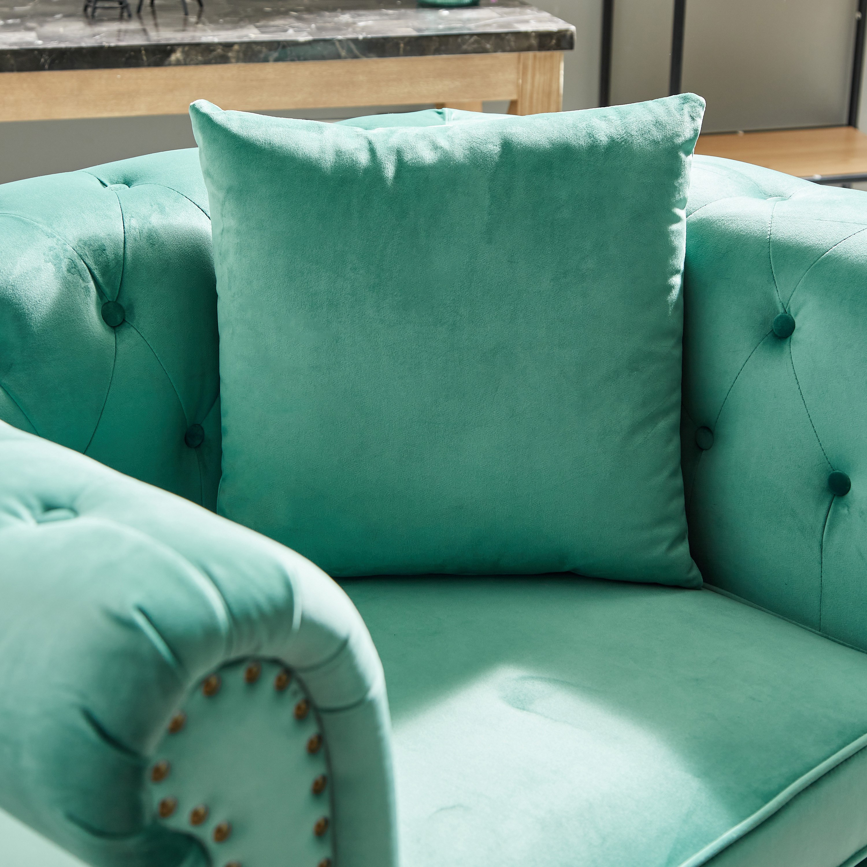 كرسي مخمل معنقد مقعد واحد بمساند ذراعين ووسادة من صوفيا-hbxlivingroom-sofasandarmchairs-sofas-image-4