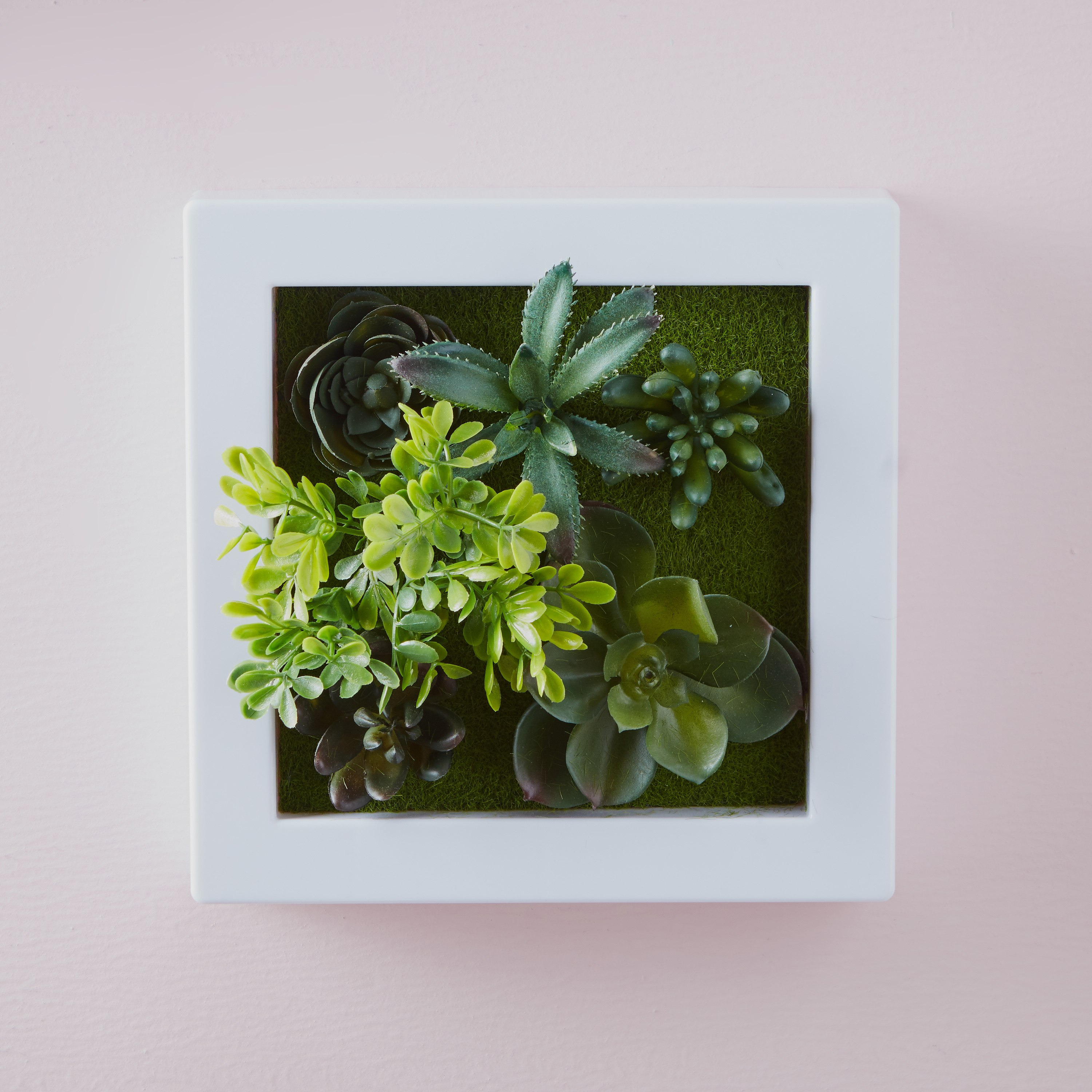 إطار ديكور حائط وطاولة بنبتة خضراء - 20x20 سم-hbxdecorandfurnishings-homeaccessories-artificialflowersandplants-image-1