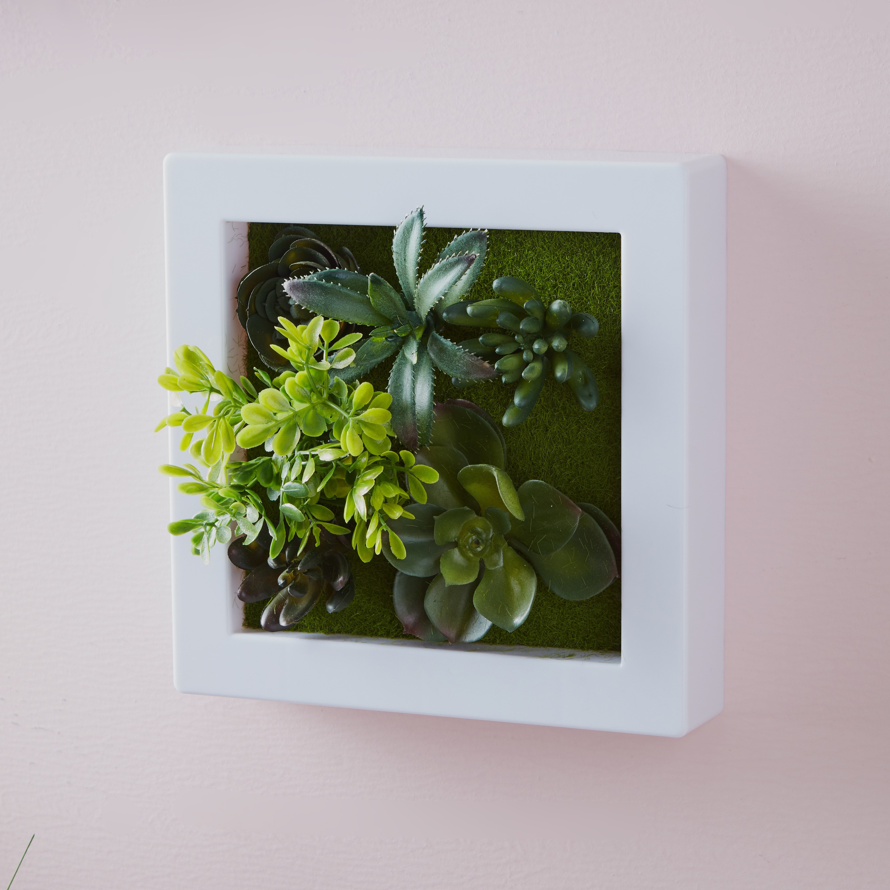 إطار ديكور حائط وطاولة بنبتة خضراء - 20x20 سم-hbxdecorandfurnishings-homeaccessories-artificialflowersandplants-image-2