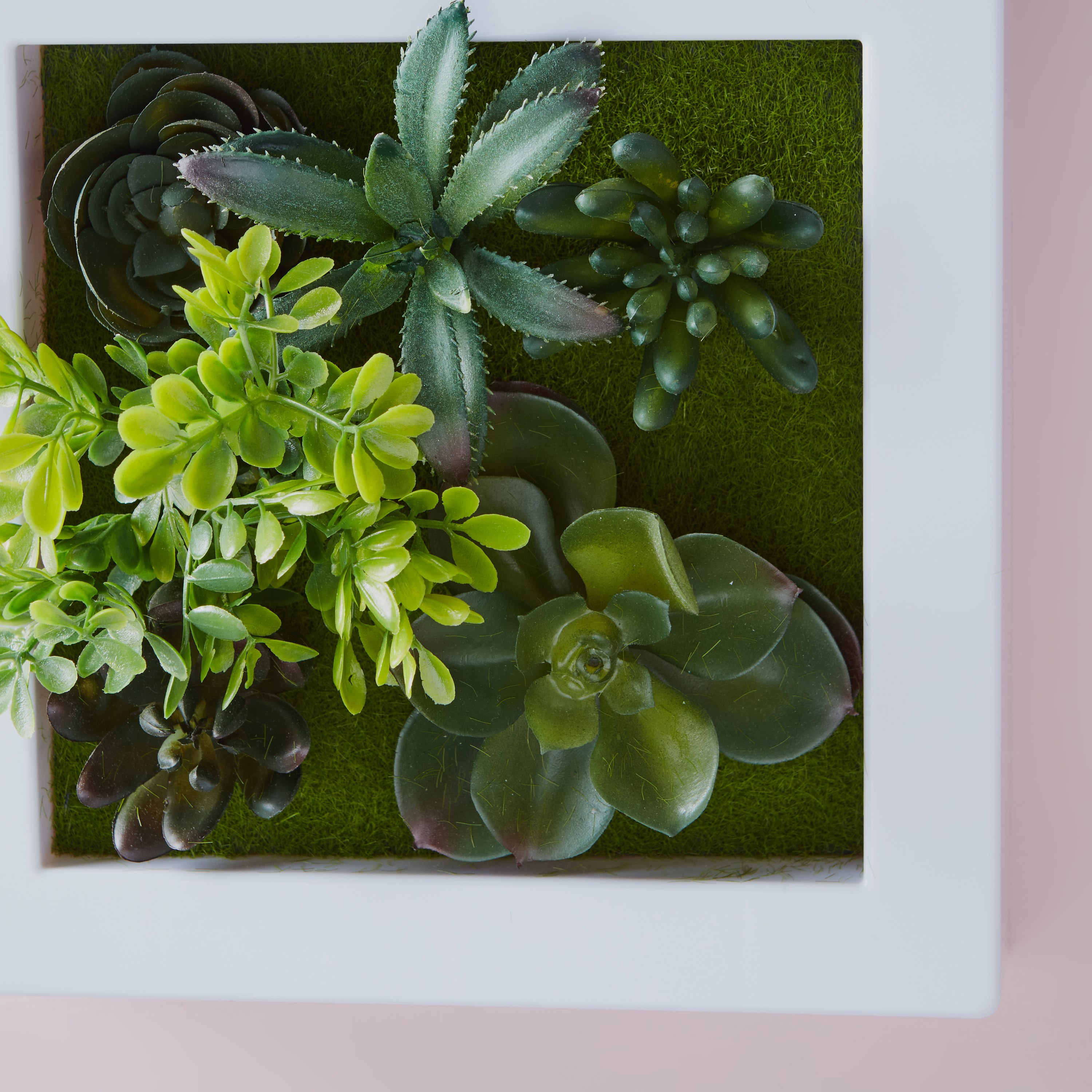 إطار ديكور حائط وطاولة بنبتة خضراء - 20x20 سم-hbxdecorandfurnishings-homeaccessories-artificialflowersandplants-image-3