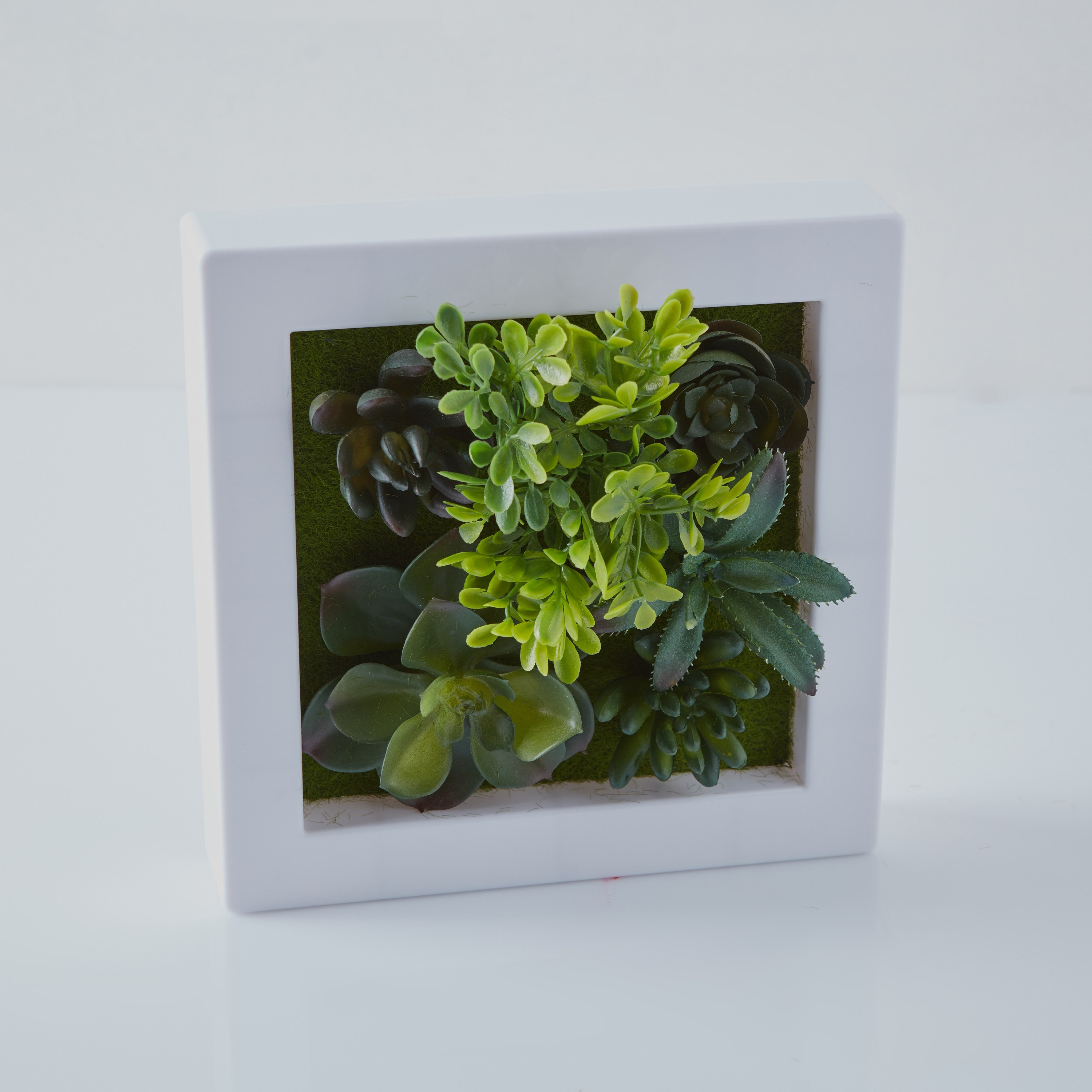 إطار ديكور حائط وطاولة بنبتة خضراء - 20x20 سم-hbxdecorandfurnishings-homeaccessories-artificialflowersandplants-image-5