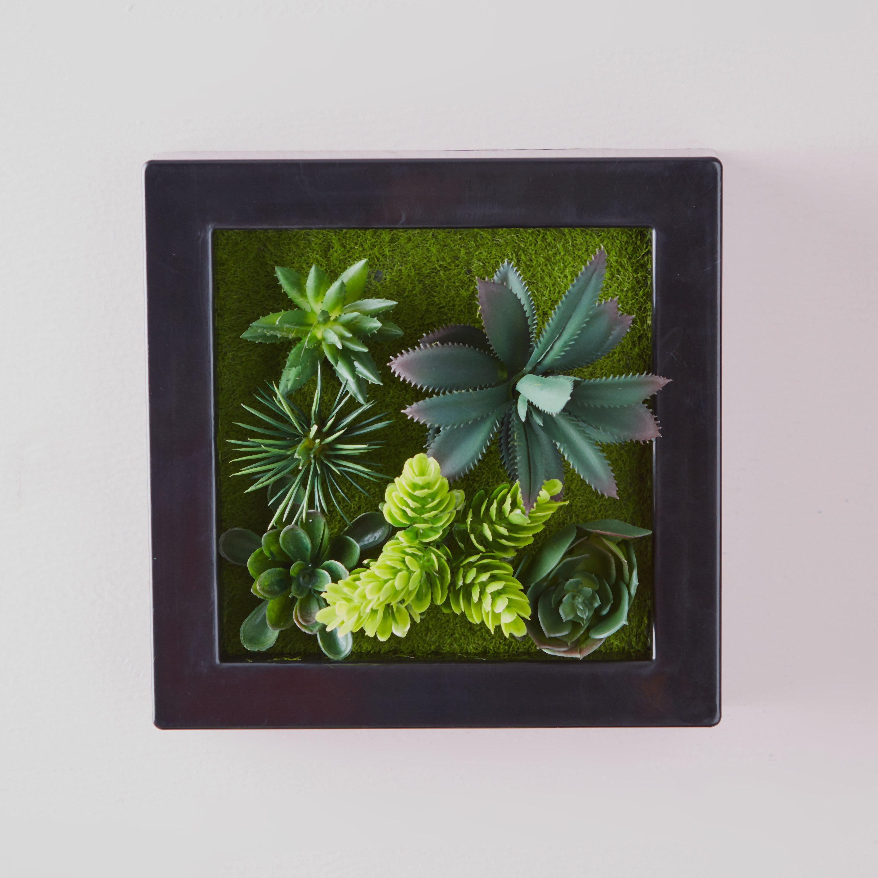 إطار ديكور حائط بنبتة اصطناعيّة خضراء-hbxdecorandfurnishings-homeaccessories-artificialflowersandplants-image-1