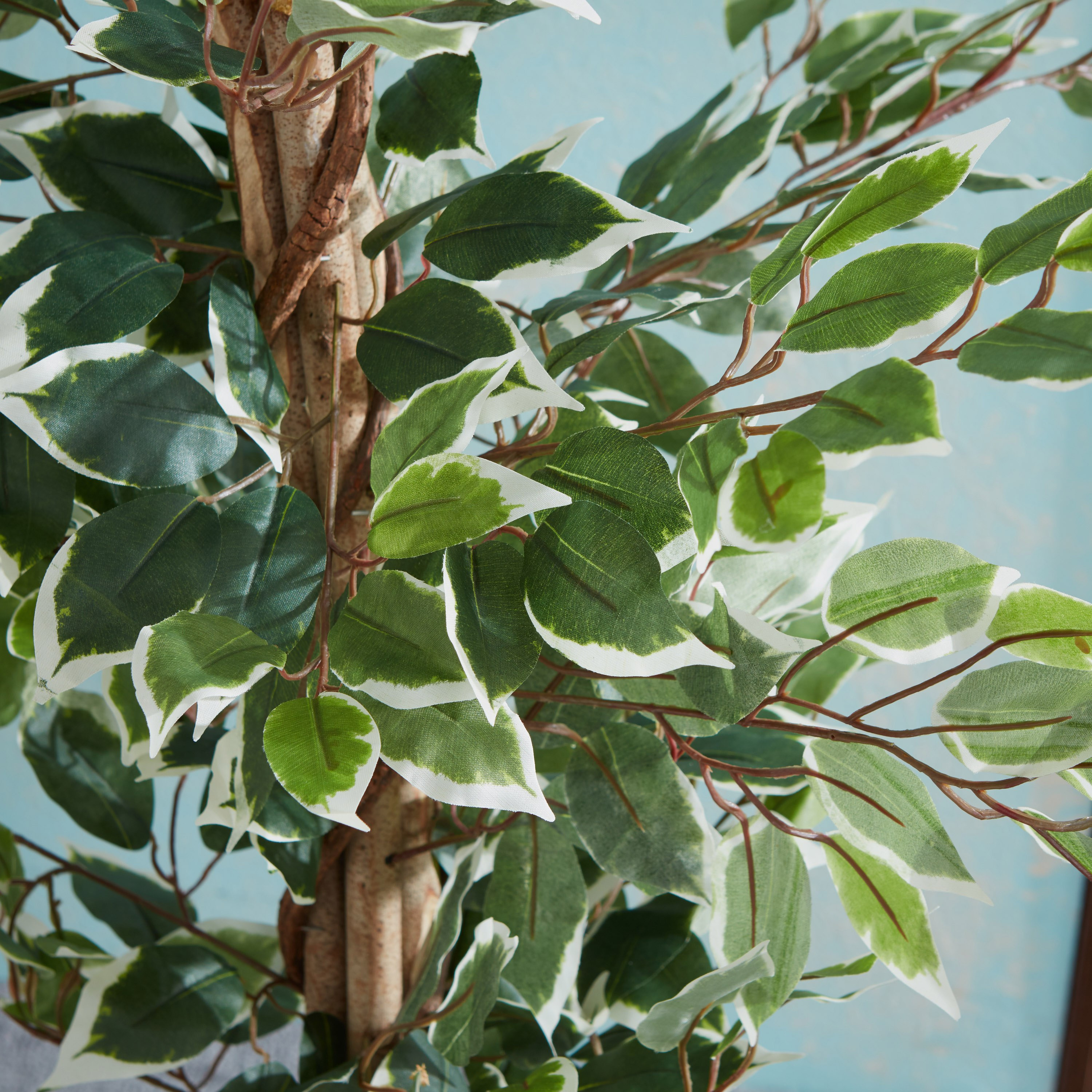 نبتة فلورا للديكور مع مزهرية-hbxdecorandfurnishings-homeaccessories-artificialflowersandplants-image-2