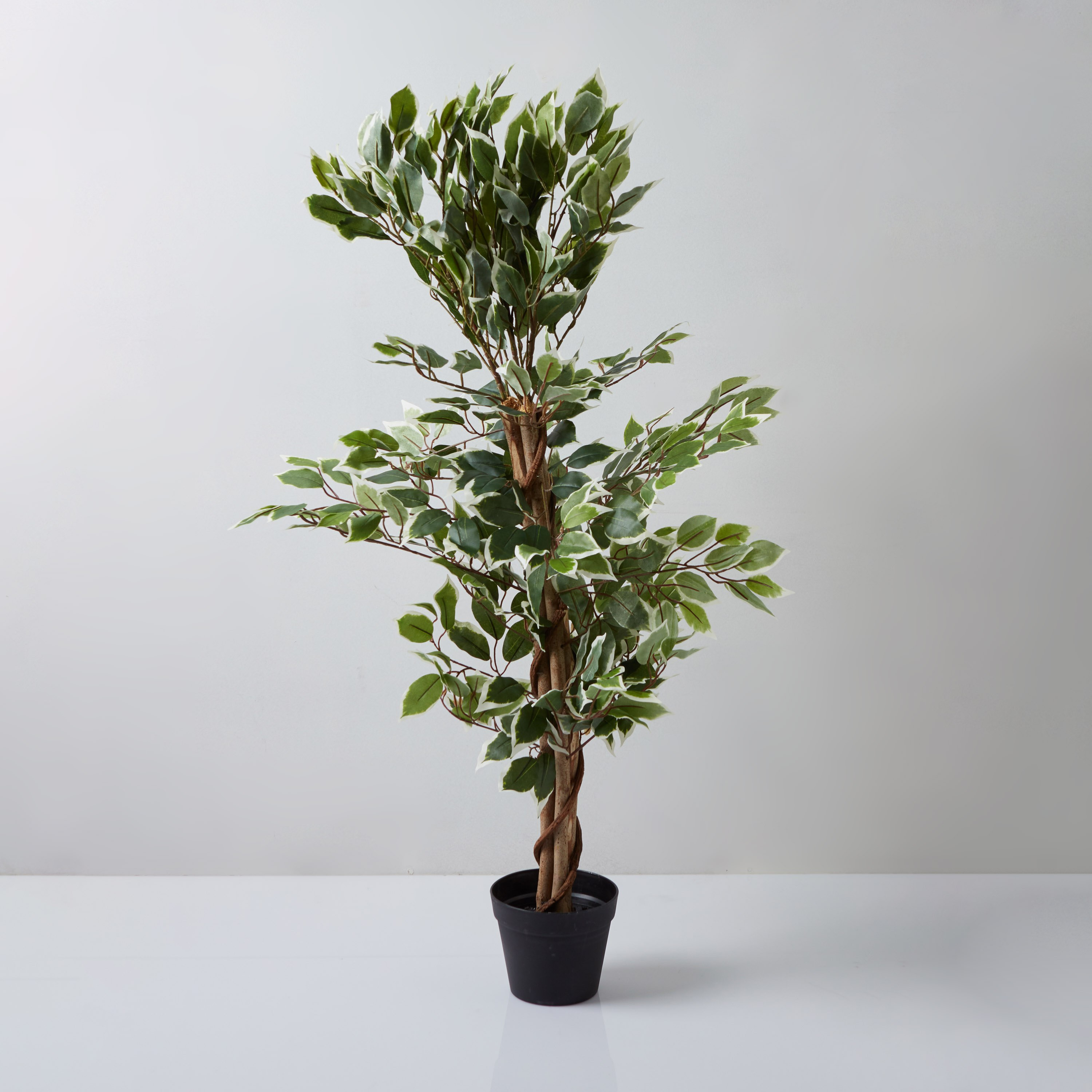 نبتة فلورا للديكور مع مزهرية-hbxdecorandfurnishings-homeaccessories-artificialflowersandplants-image-4