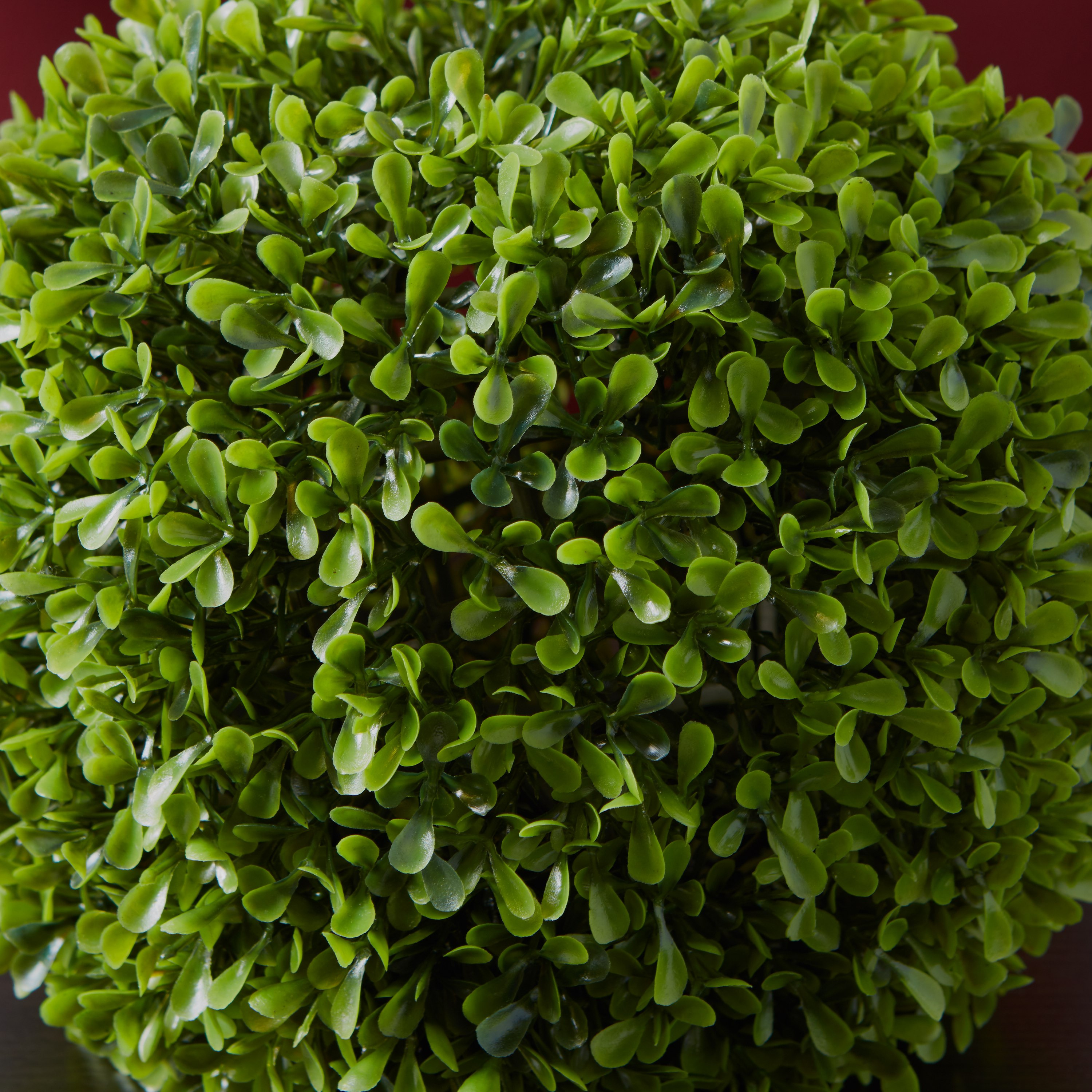 نبتة اصطناعية مستديرة من تريكسي - 22 سم-hbxdecorandfurnishings-homeaccessories-artificialflowersandplants-image-2