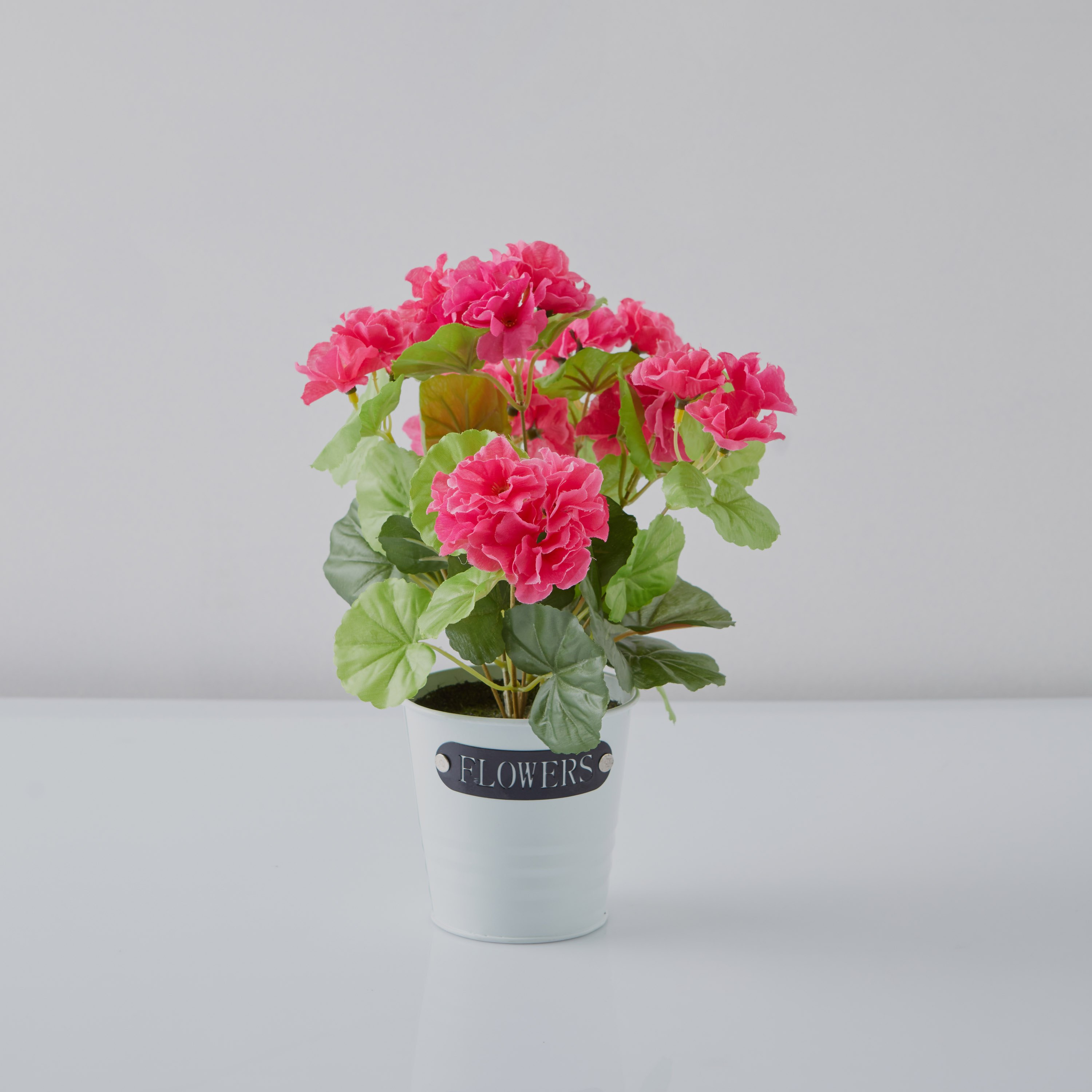 نبتة بيلا للديكور مع مزهرية-hbxdecorandfurnishings-homeaccessories-artificialflowersandplants-image-4
