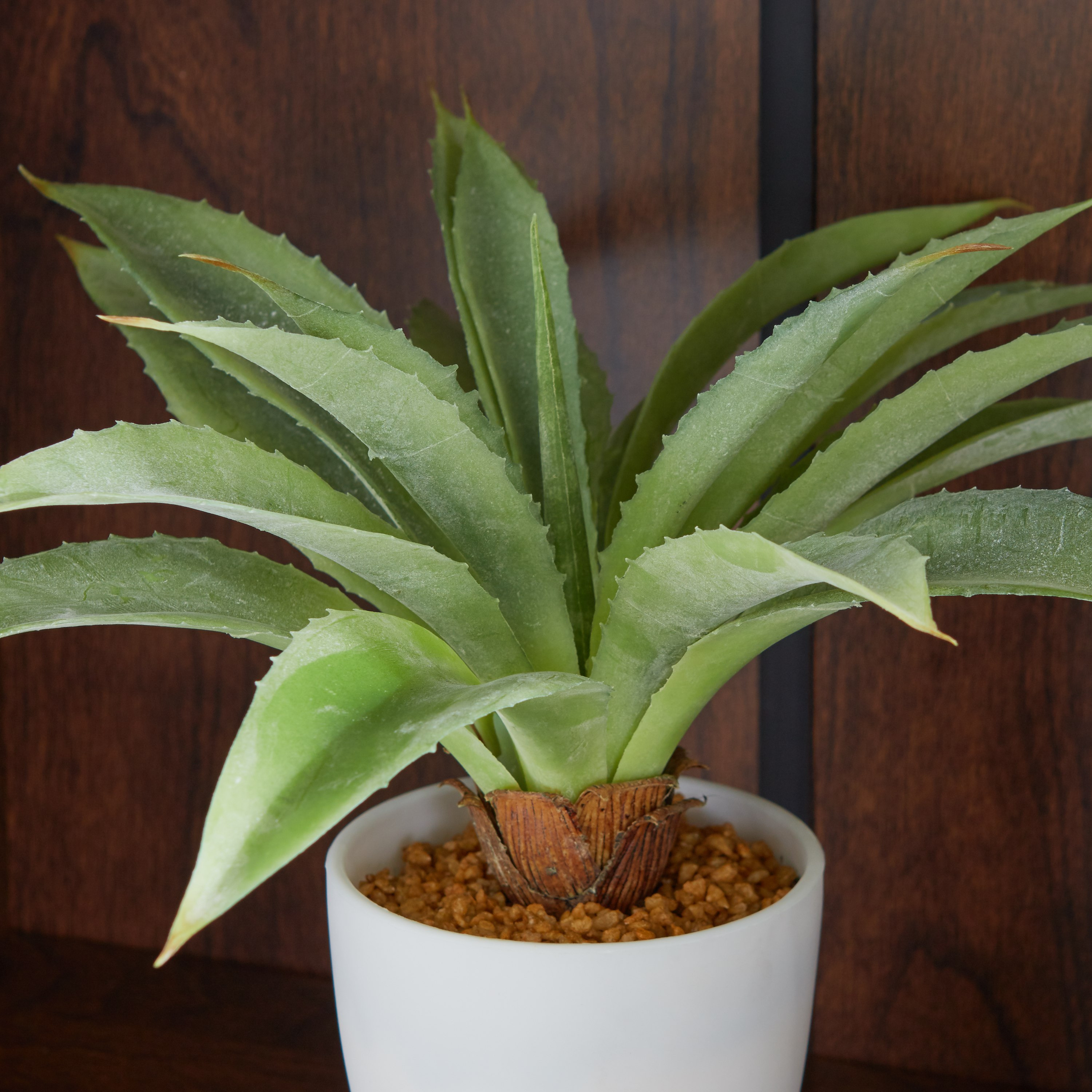 نبات الألو فيرا الاصطناعي مع مزهرية-hbxdecorandfurnishings-homeaccessories-artificialflowersandplants-image-2