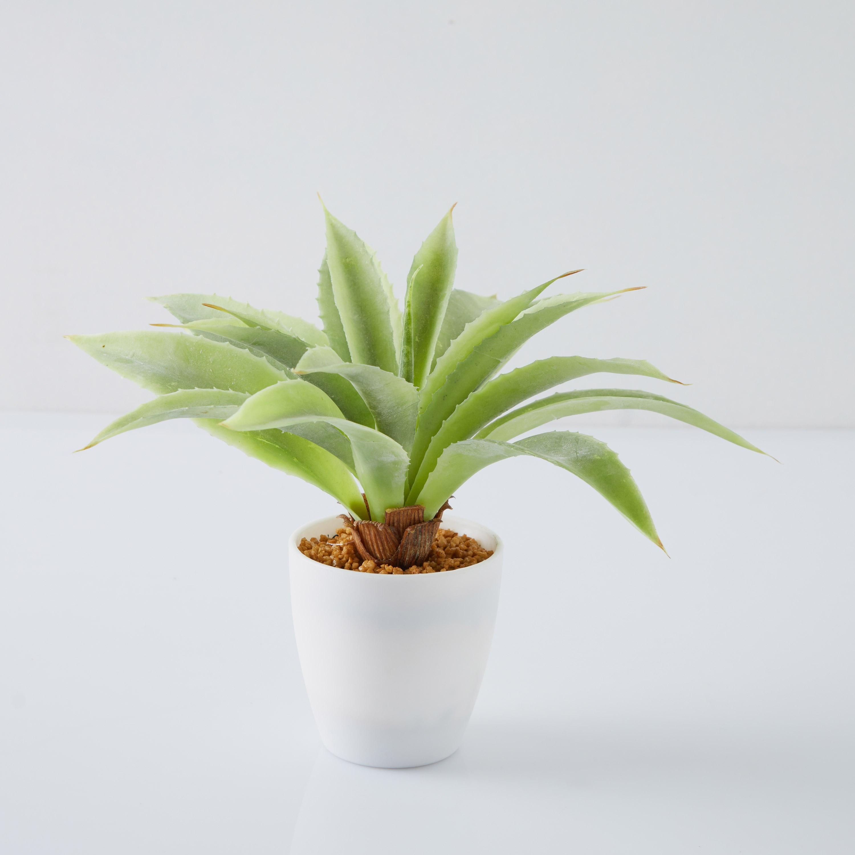 نبات الألو فيرا الاصطناعي مع مزهرية-hbxdecorandfurnishings-homeaccessories-artificialflowersandplants-image-4
