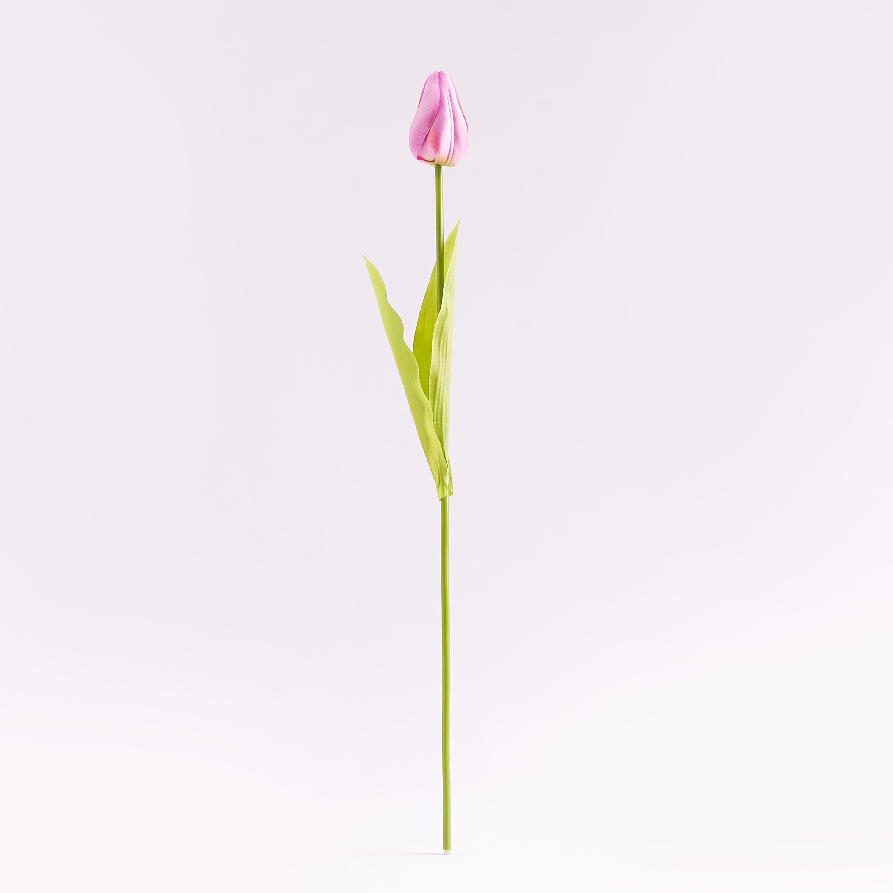 غصن زهرة توليب للزينة - 53 سم-hbxdecorandfurnishings-homeaccessories-artificialflowersandplants-image-4
