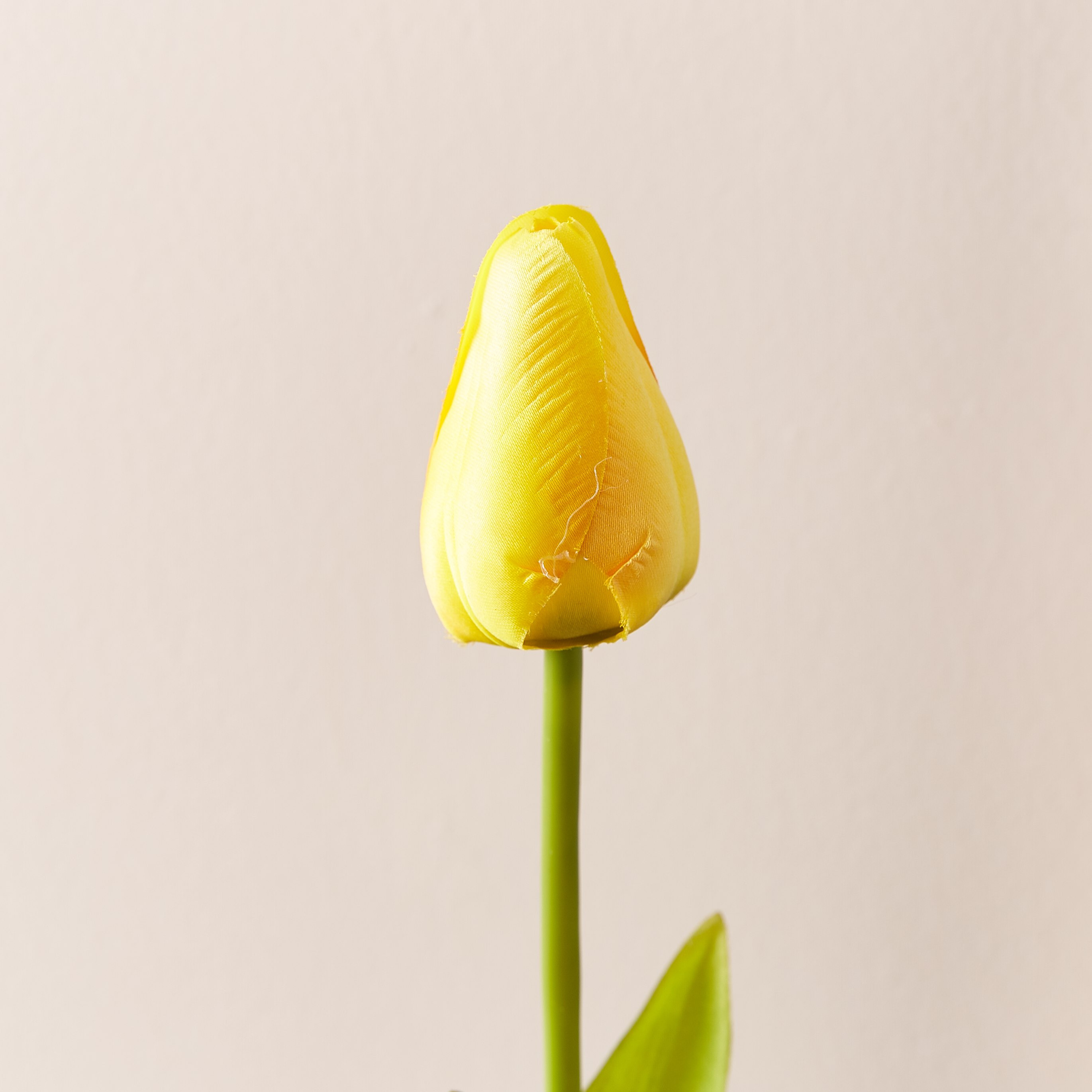 غصن زهرة براعم توليب للزينة - 53 سم-hbxdecorandfurnishings-homeaccessories-artificialflowersandplants-image-2