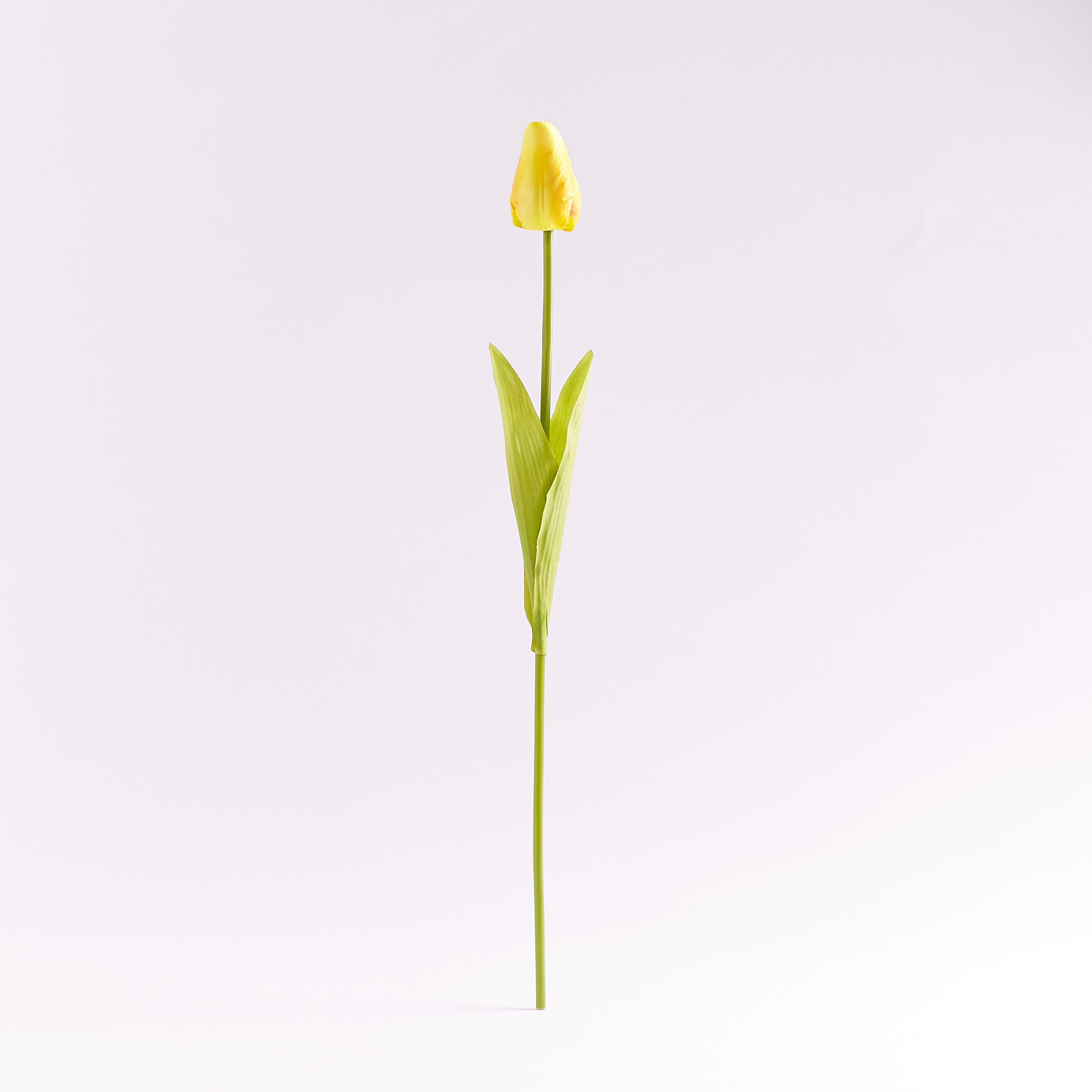 غصن زهرة براعم توليب للزينة - 53 سم-hbxdecorandfurnishings-homeaccessories-artificialflowersandplants-image-4