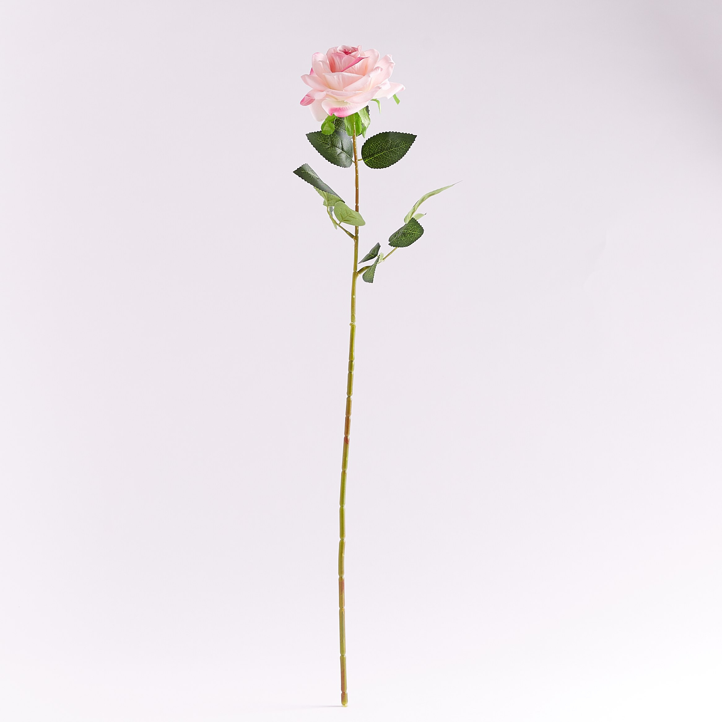 Rose Flower Stick -  62 cm-hbxdecorandfurnishings-homeaccessories-artificialflowersandplants-image-4