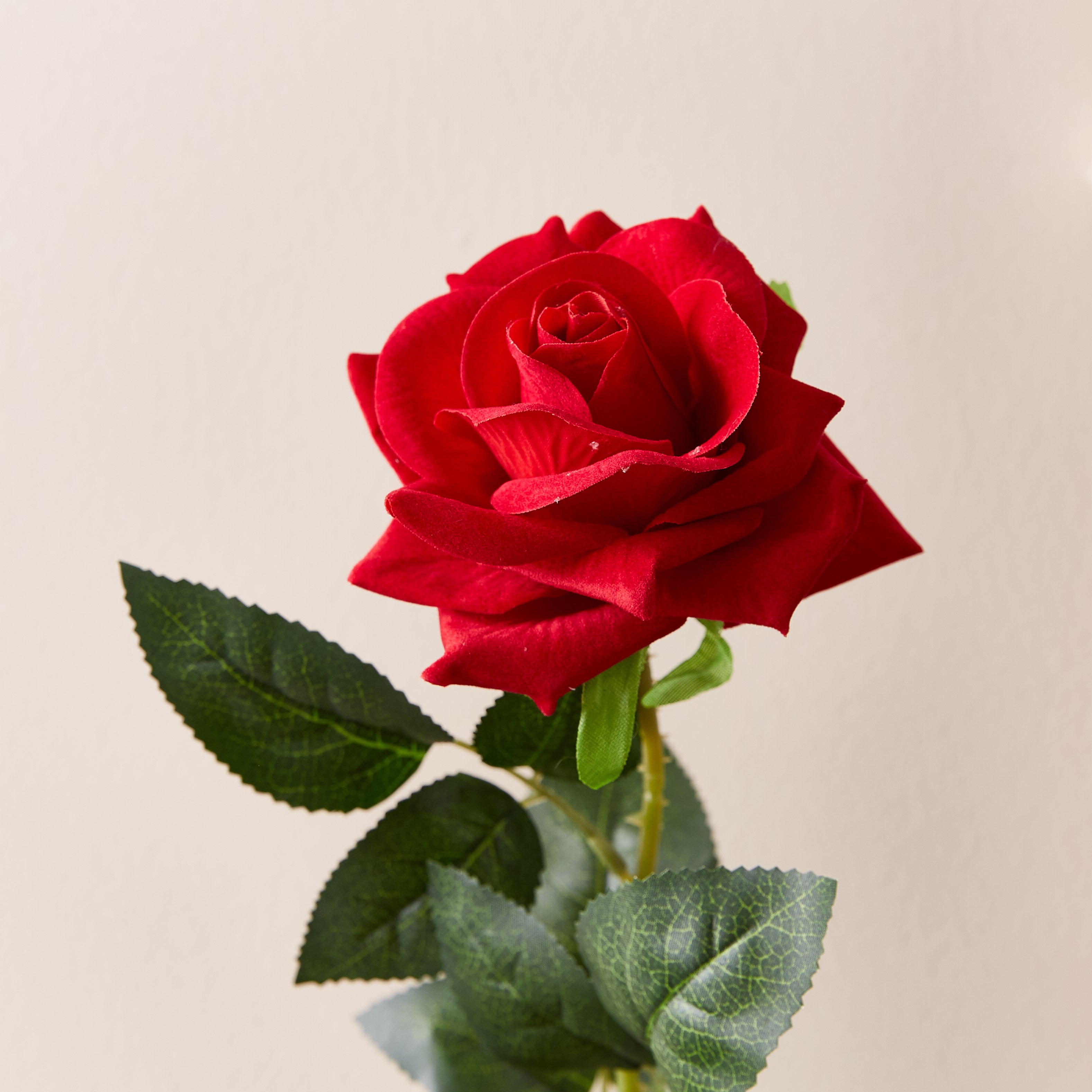 غصن زهرة للزينة -  62 سم-hbxdecorandfurnishings-homeaccessories-artificialflowersandplants-image-2