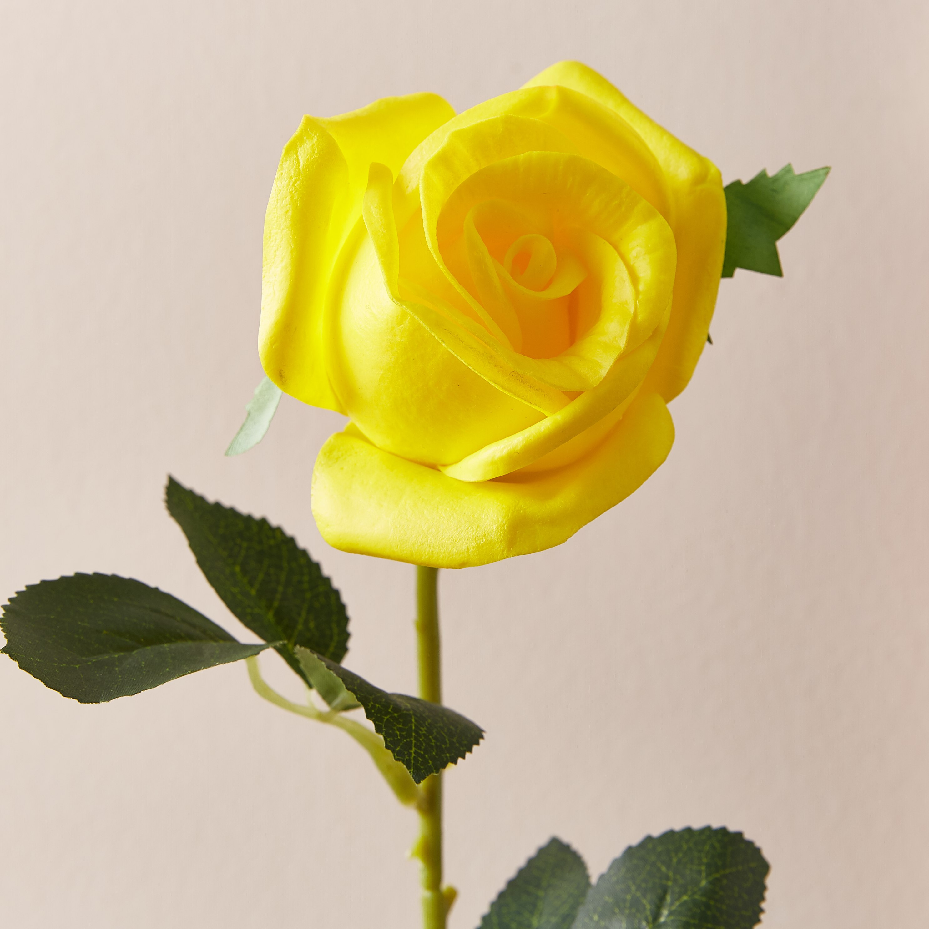 غصن زهرة للزينة -  60 سم-hbxdecorandfurnishings-homeaccessories-artificialflowersandplants-image-2