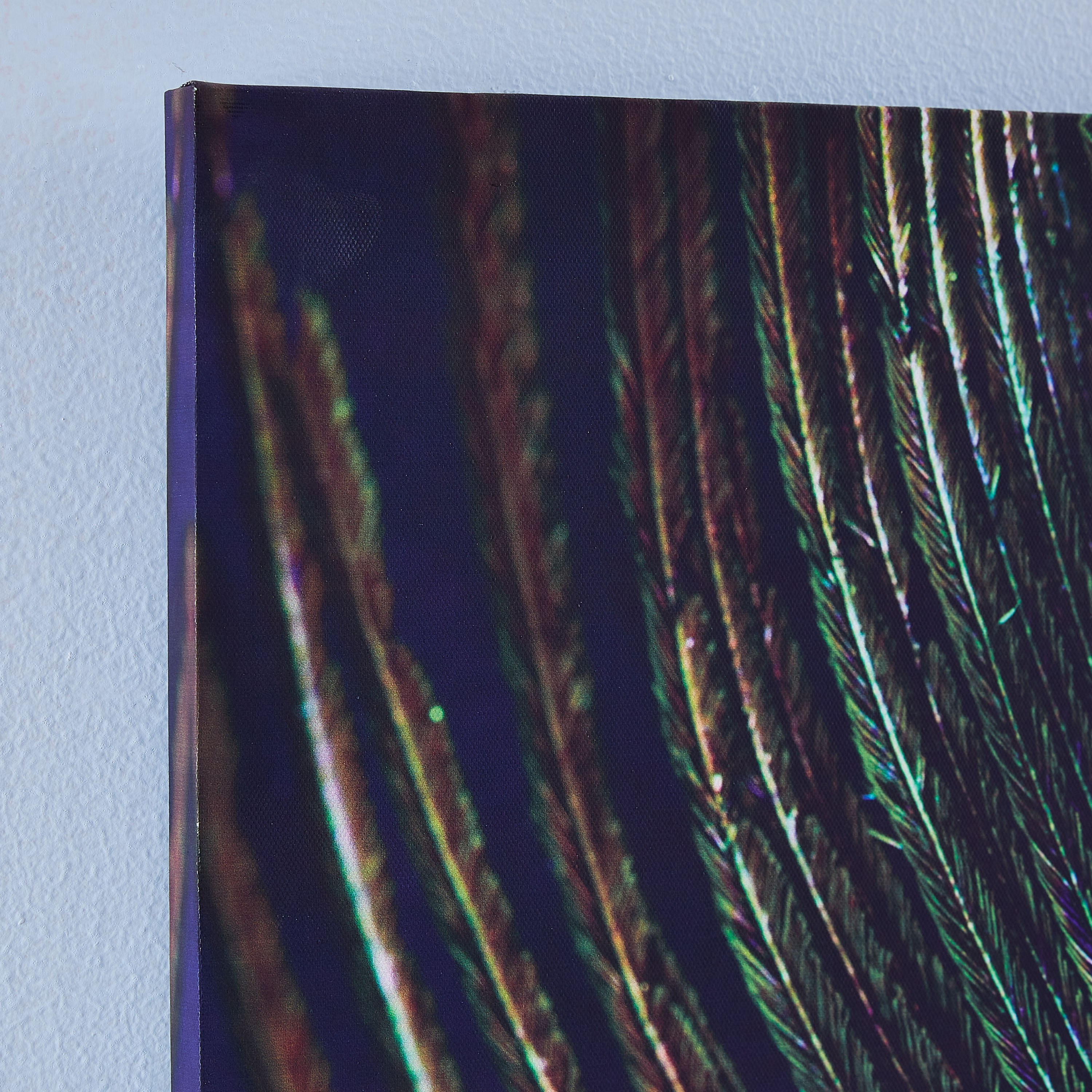 Neon Peacock Feather Framed Printed Canvas-PROMO_HB_AE_B1G1_250925-image-2