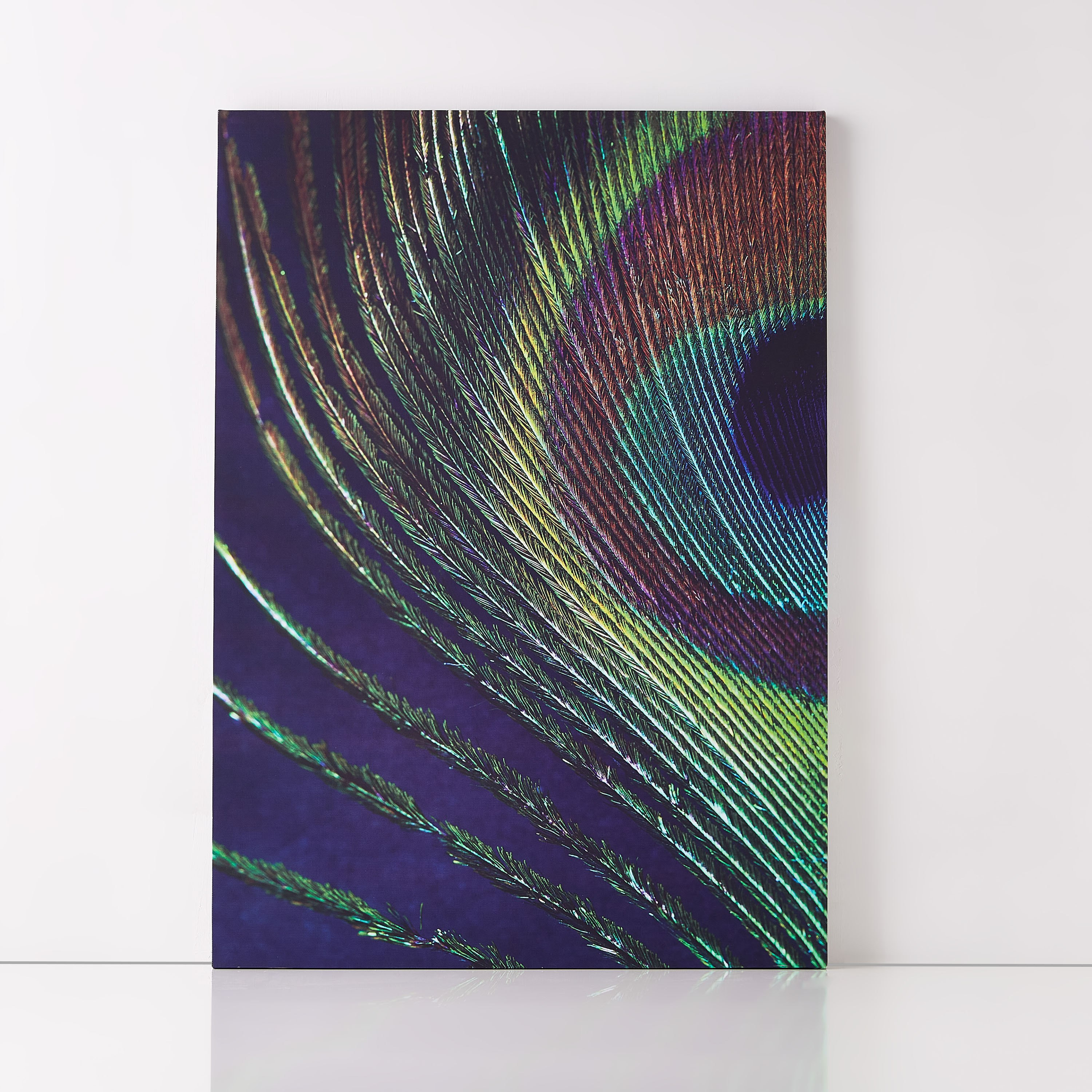 Neon Peacock Feather Framed Printed Canvas-PROMO_HB_AE_B1G1_250925-image-5