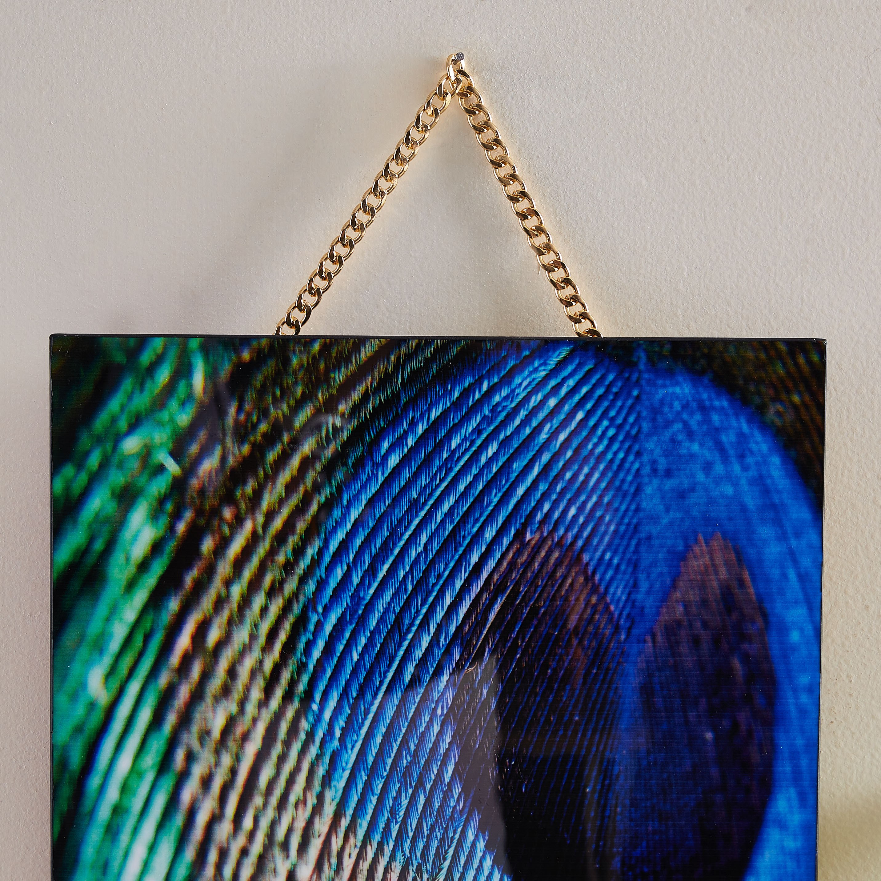 لوحة بطبعات ريش الطاووس يعلق بسلسلة-hbxlivingroom-walldecor-wallart-image-2