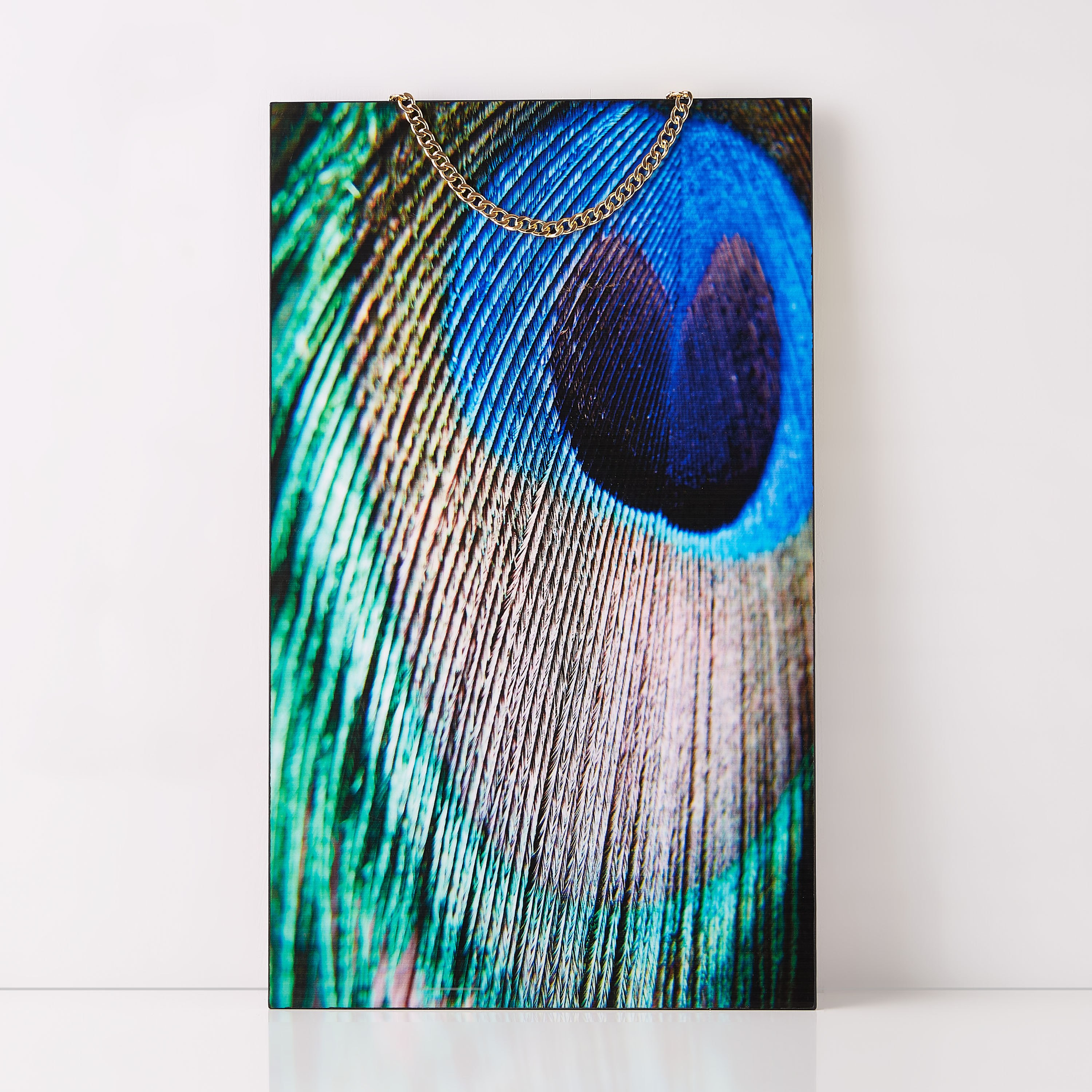 لوحة بطبعات ريش الطاووس يعلق بسلسلة-hbxlivingroom-walldecor-wallart-image-5
