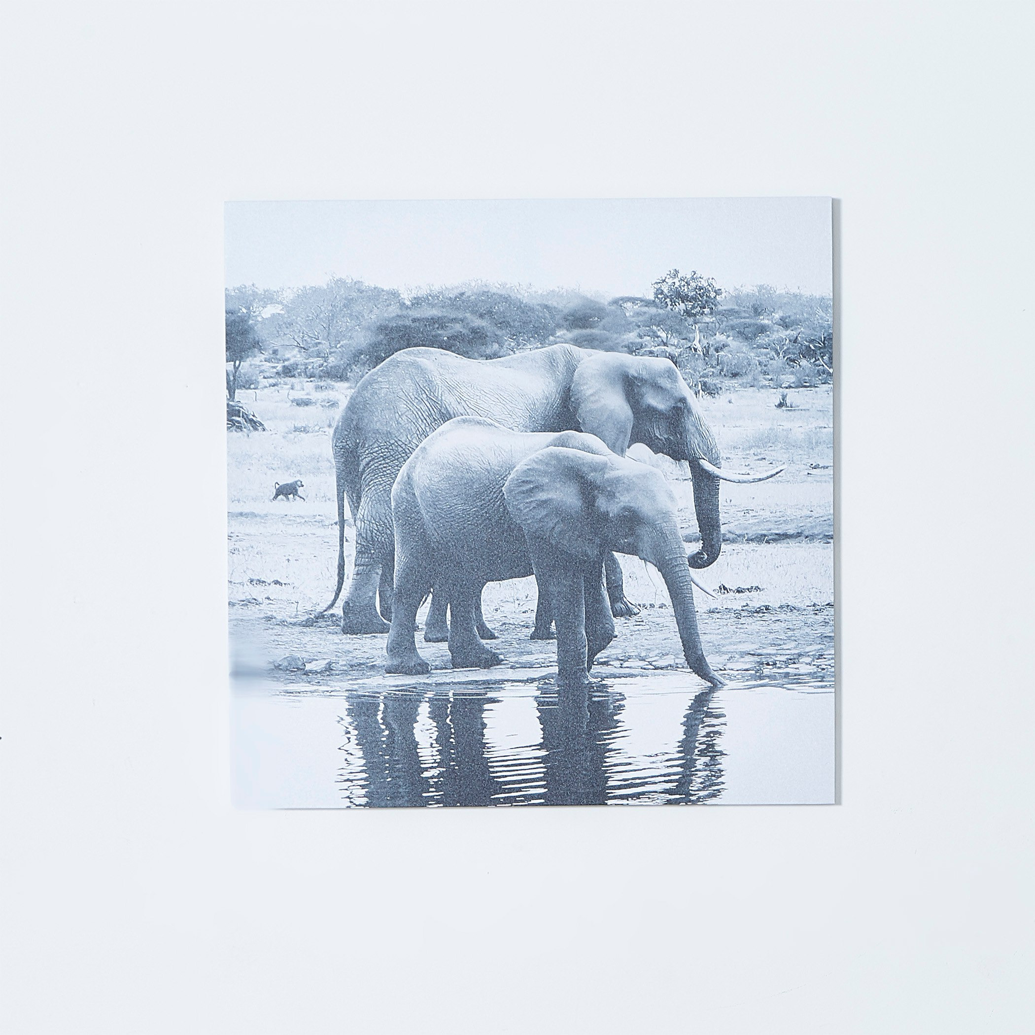 لوحة حائط كانفاس بطبعات فيل- 80x80x2.5 سم-PROMO_HB_AE_B1G1_250925-image-3