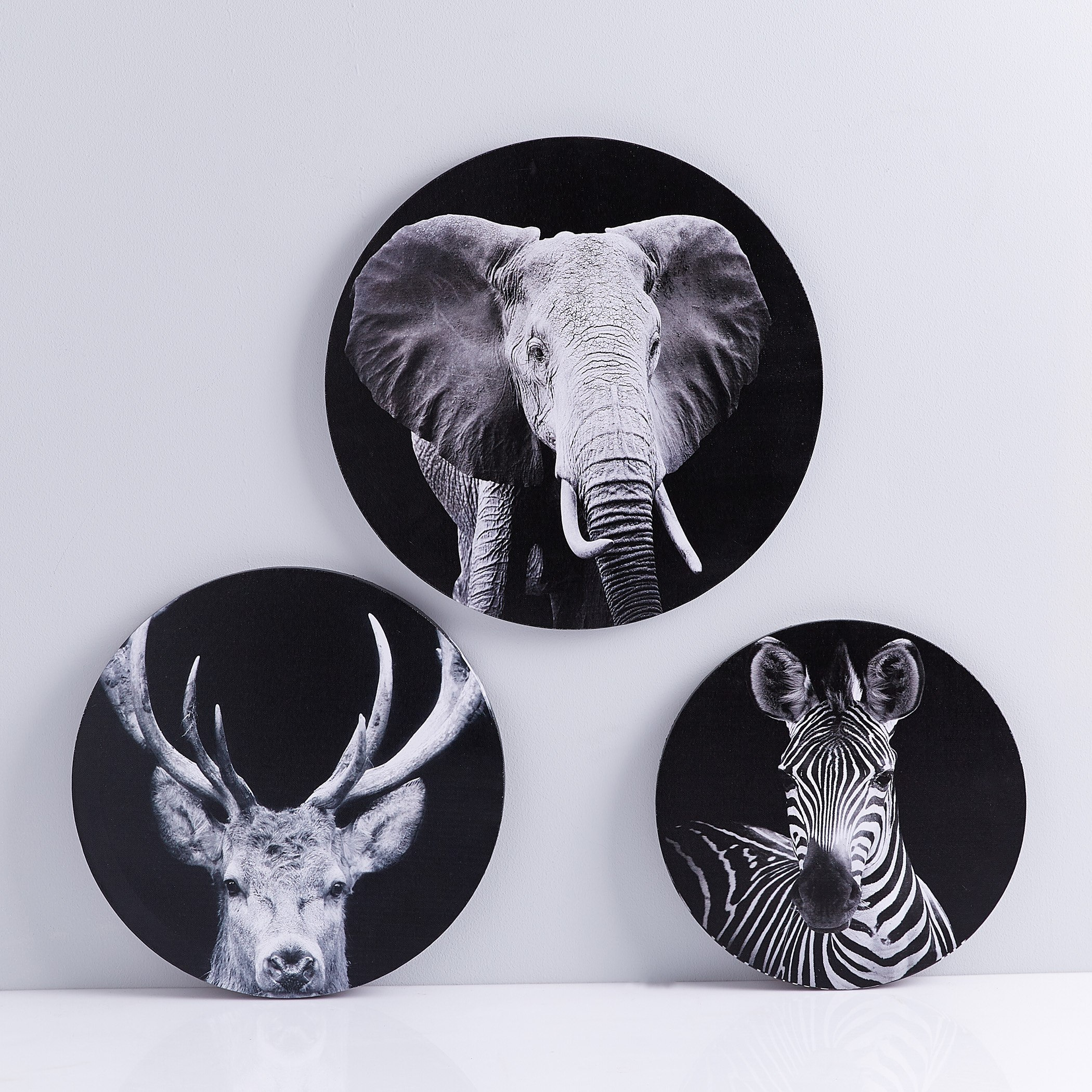 لوحة كانفاس مؤطرة بطبعات حيوانات بريّة- طقم من 3 قطع-hbxhomeware-hbxdecorandfurnishings-image-5