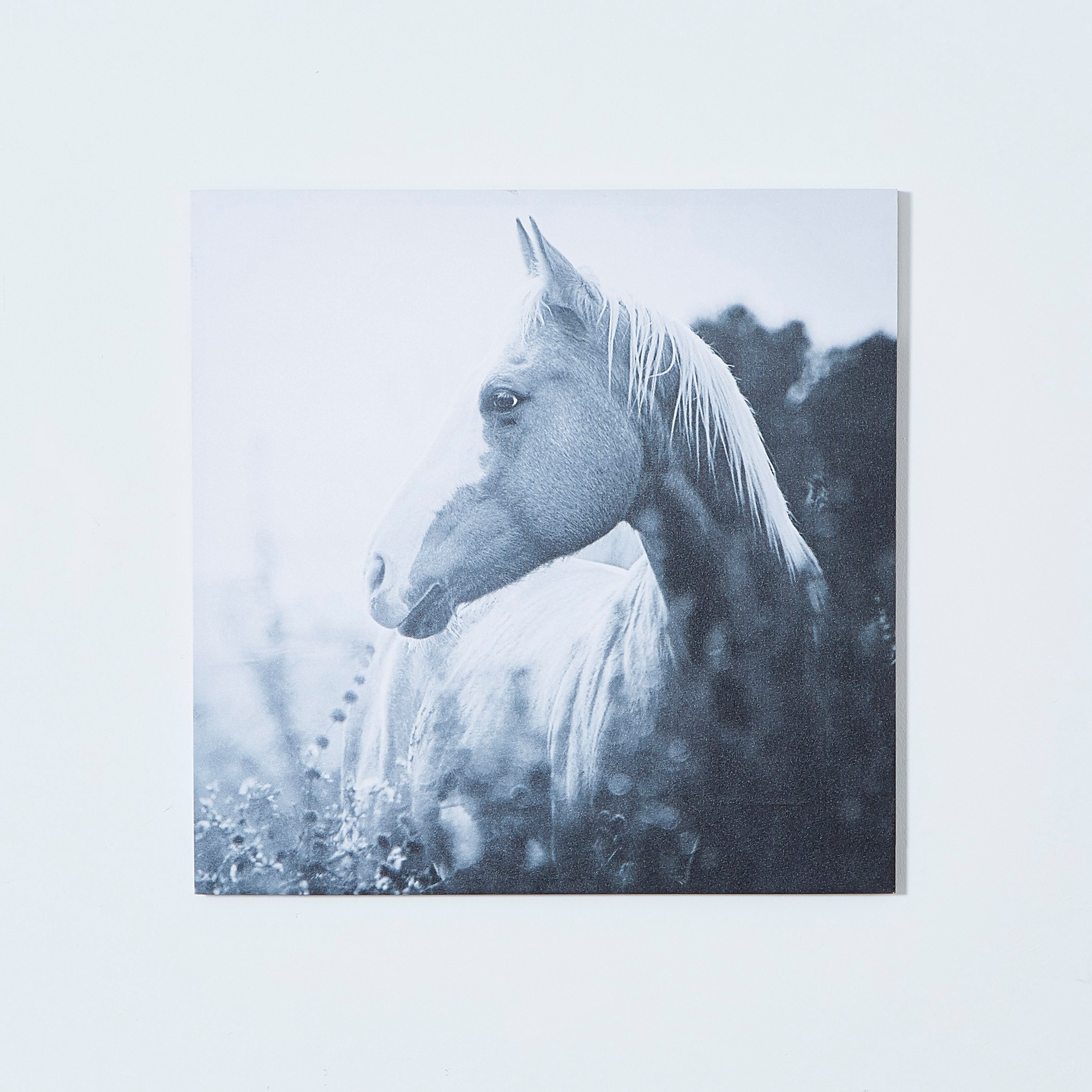 لوحة كانفاس بطبعات لوسي اللاما - 80×80 ×2.5 سم-PROMO_HB_AE_B1G1_250925-image-3