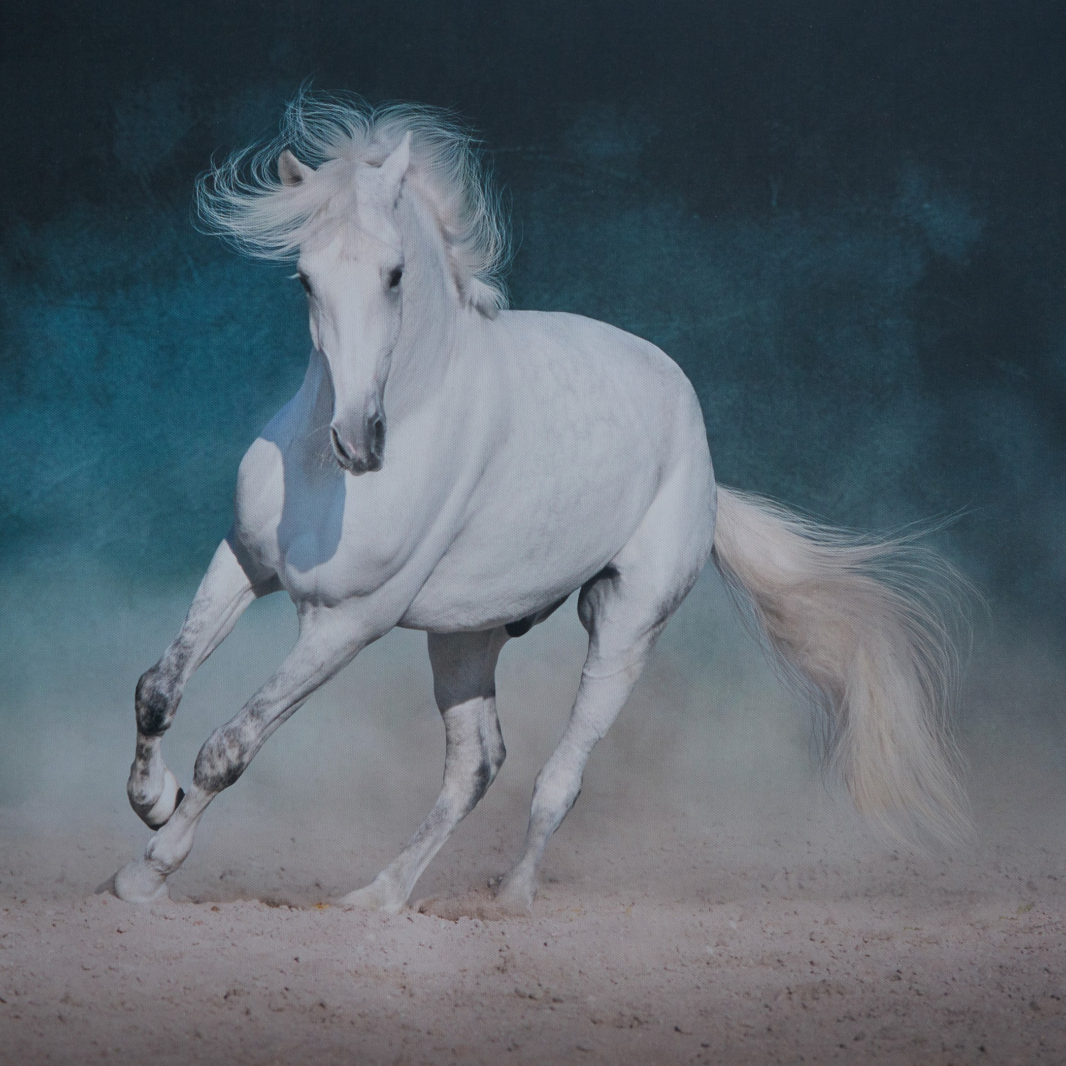 لوحة كانفاس بطبعات حصان-PROMO_HB_AE_B1G1_250925-image-3