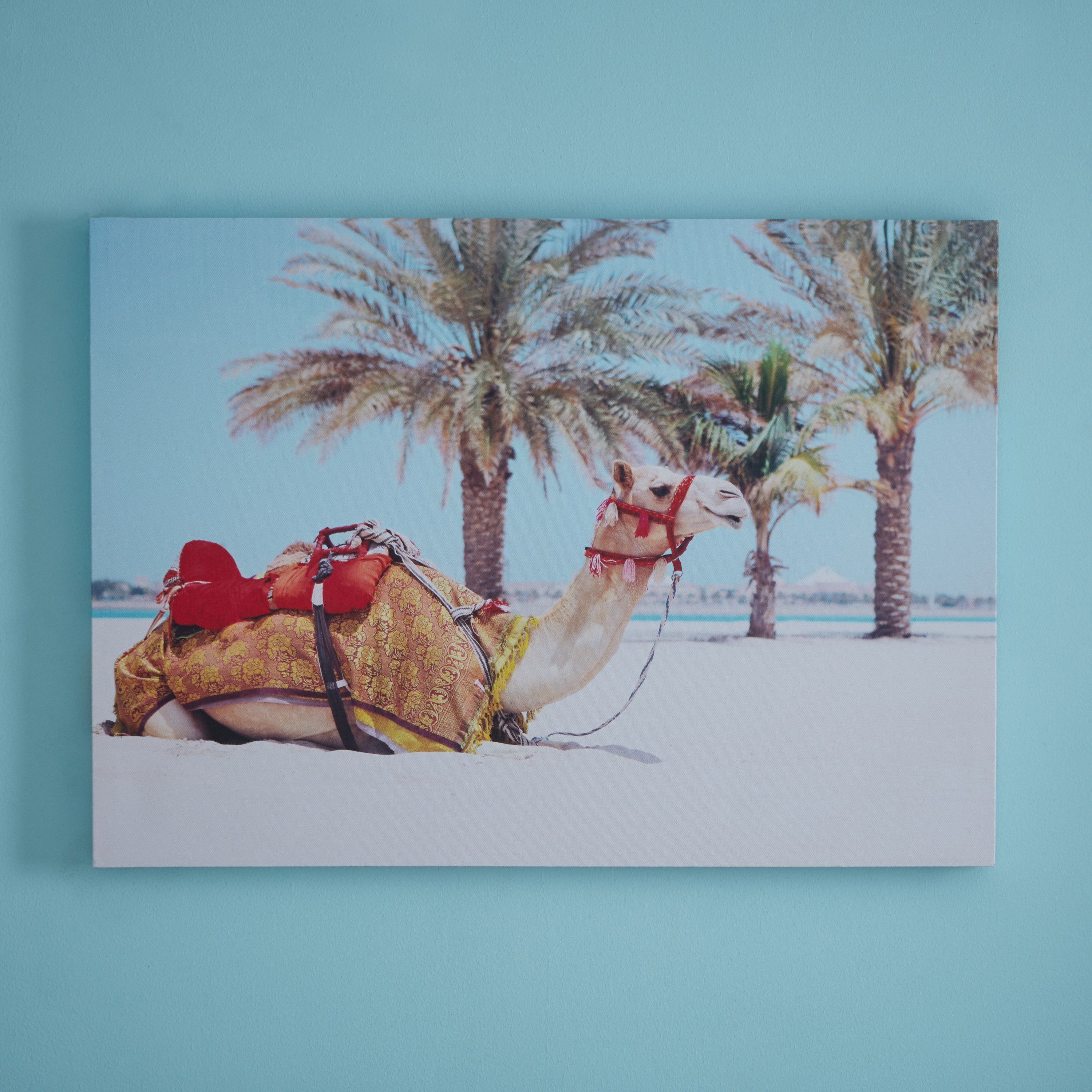 لوحة كانفاس جمل سعيد مع لجام أحمر-PROMO_HB_AE_B1G1_250925-image-1