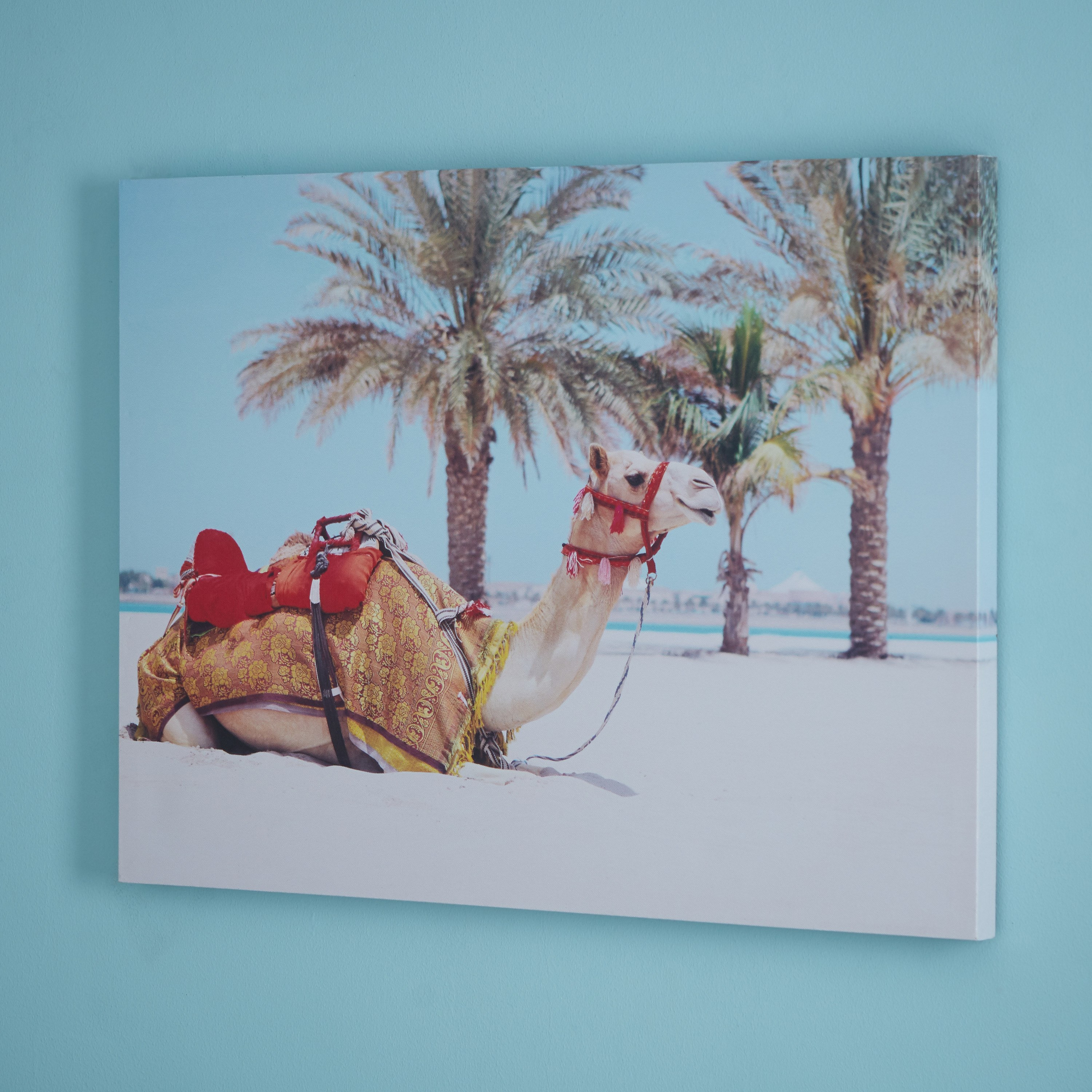 لوحة كانفاس جمل سعيد مع لجام أحمر-PROMO_HB_AE_B1G1_250925-image-2