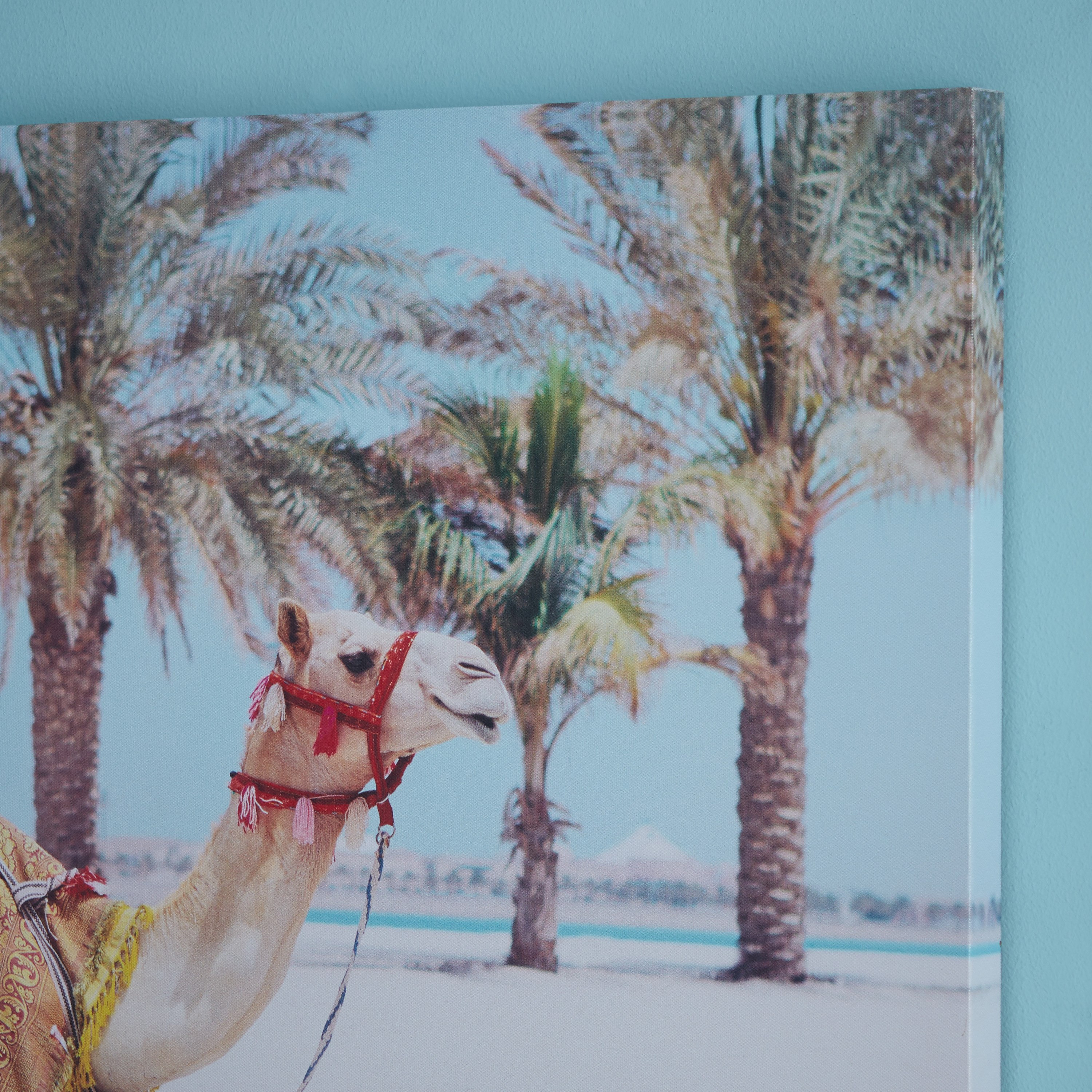 لوحة كانفاس جمل سعيد مع لجام أحمر-PROMO_HB_AE_B1G1_250925-image-3