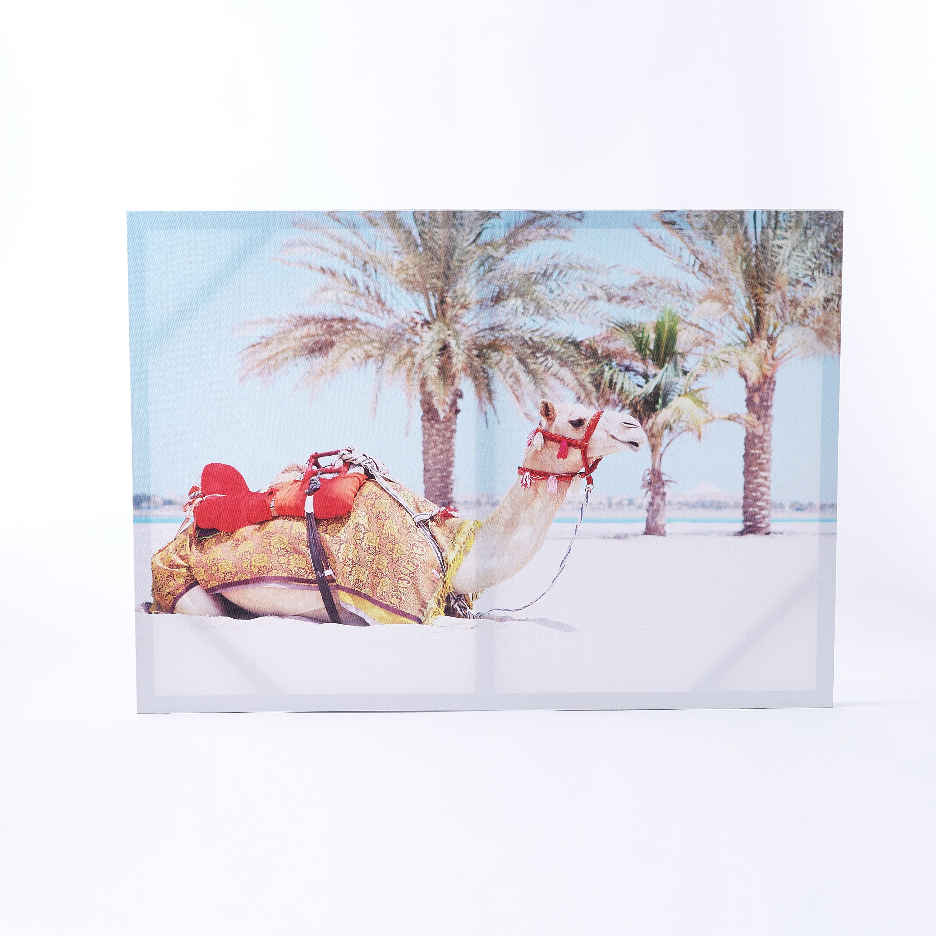 لوحة كانفاس جمل سعيد مع لجام أحمر-PROMO_HB_AE_B1G1_250925-image-5