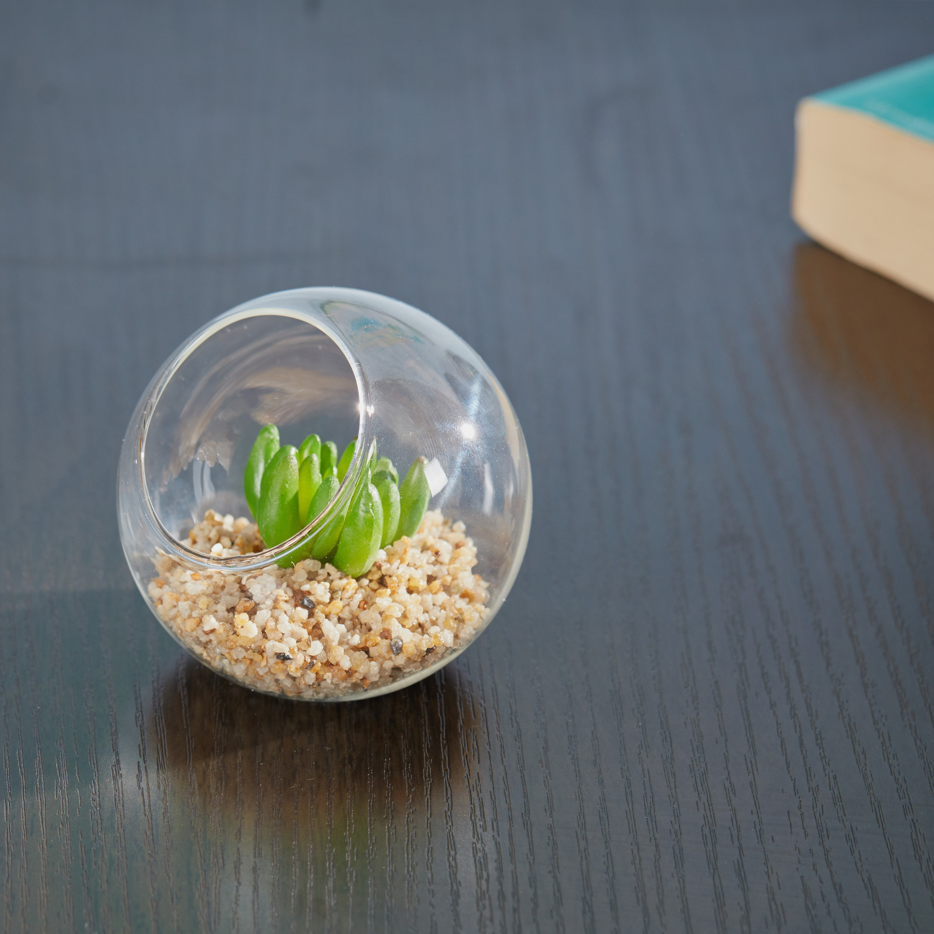 وعاء زجاجي بنبتة خضراء من مينيول-hbxdecorandfurnishings-homeaccessories-artificialflowersandplants-image-1