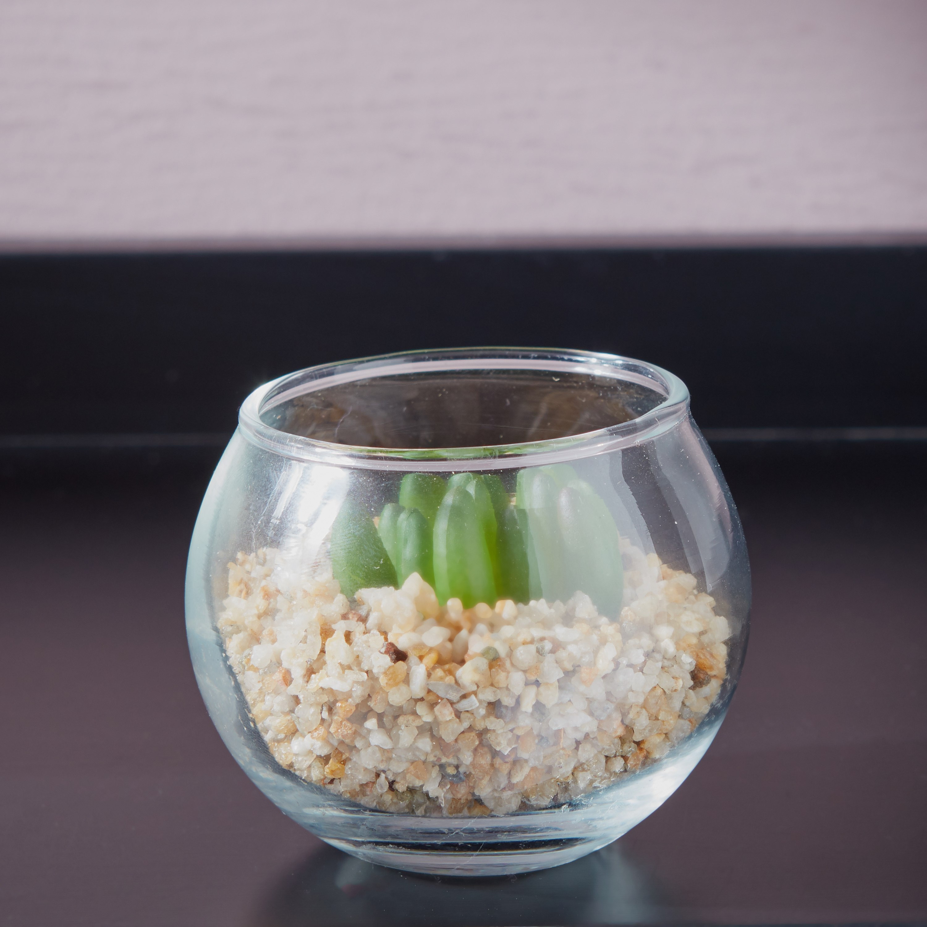 إناء زجاجي بنبتة-hbxdecorandfurnishings-homeaccessories-artificialflowersandplants-image-1