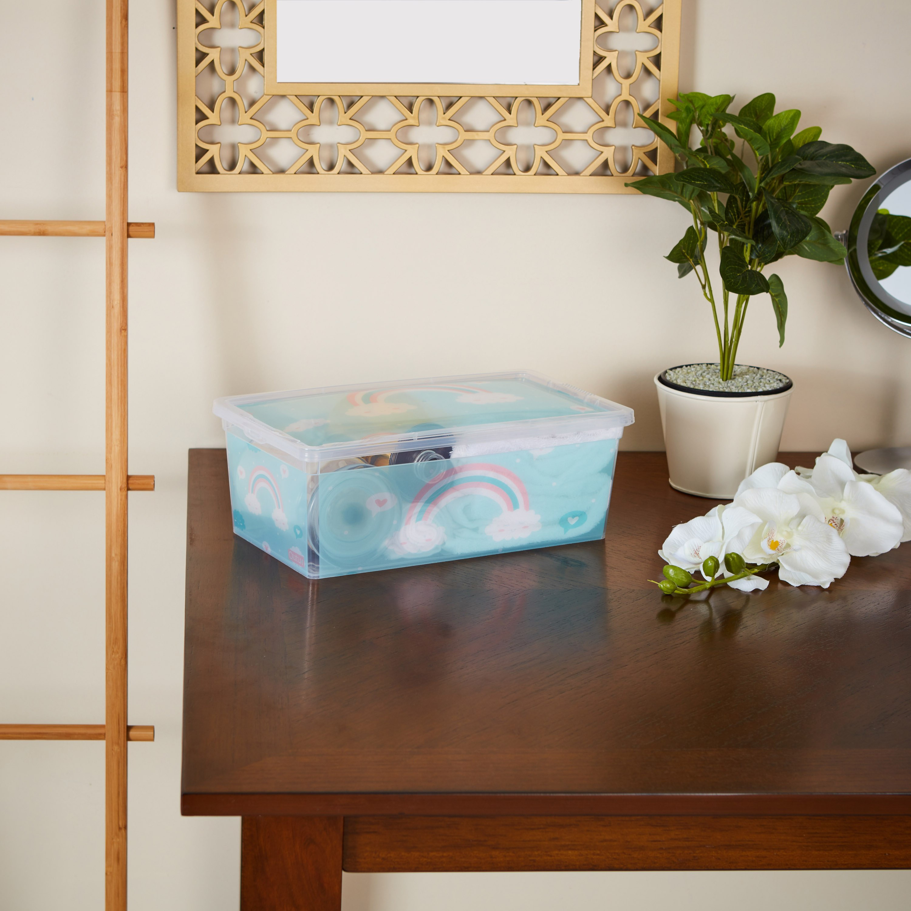 Rainbow Printed Storage Box - 5 L-hbxbedroom-bedroomaccessories-bedroomstorage-image-4