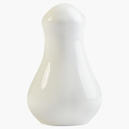 Sunnex Porcelain Shaker