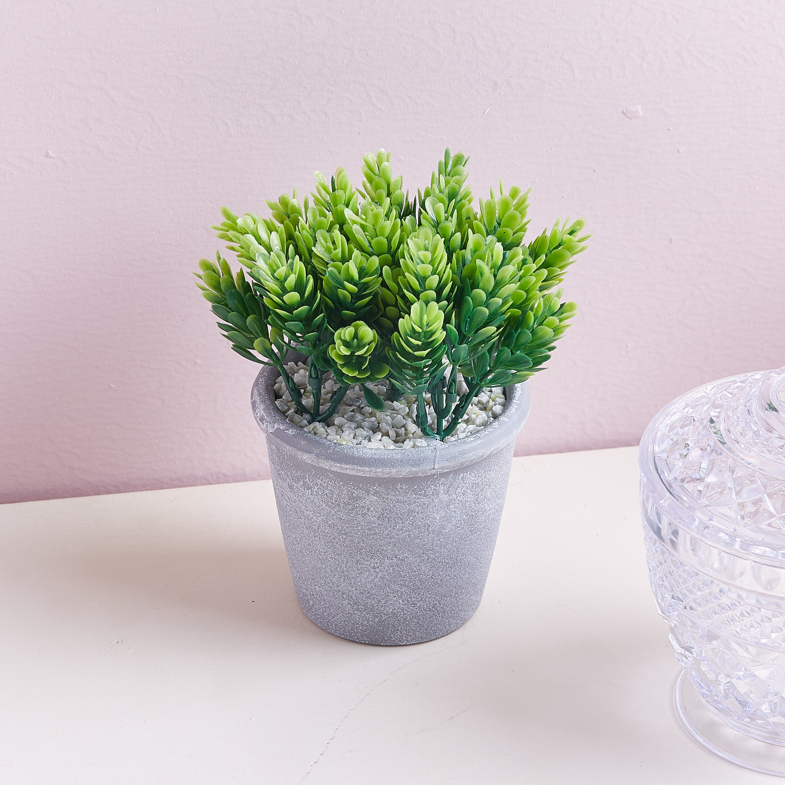 نبات الصنوبر الاصطناعي في إناء زرع - 16 سم-hbxdecorandfurnishings-homeaccessories-artificialflowersandplants-image-1