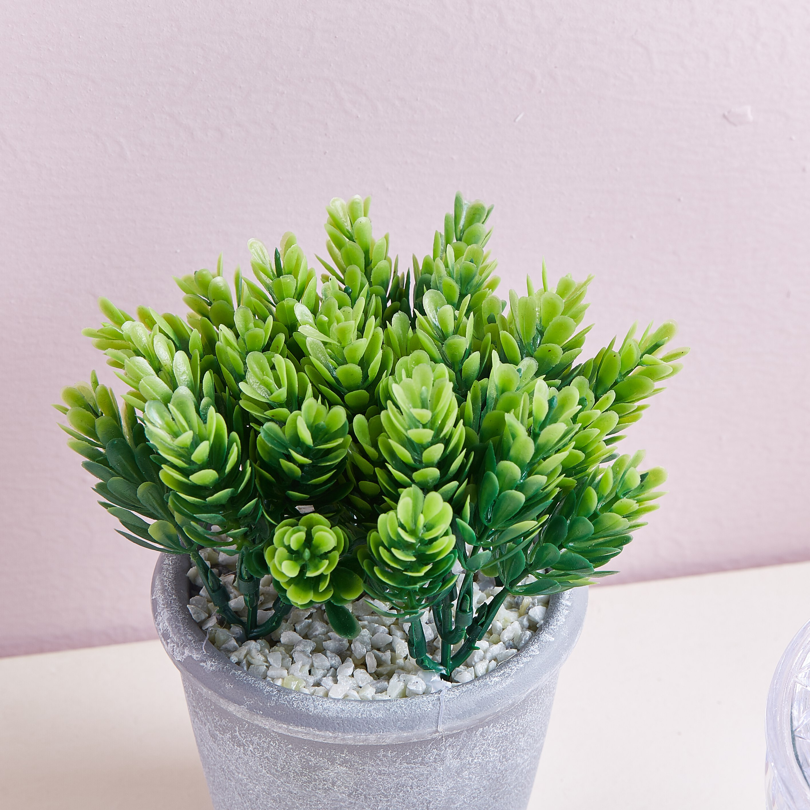 نبات الصنوبر الاصطناعي في إناء زرع - 16 سم-hbxdecorandfurnishings-homeaccessories-artificialflowersandplants-image-2