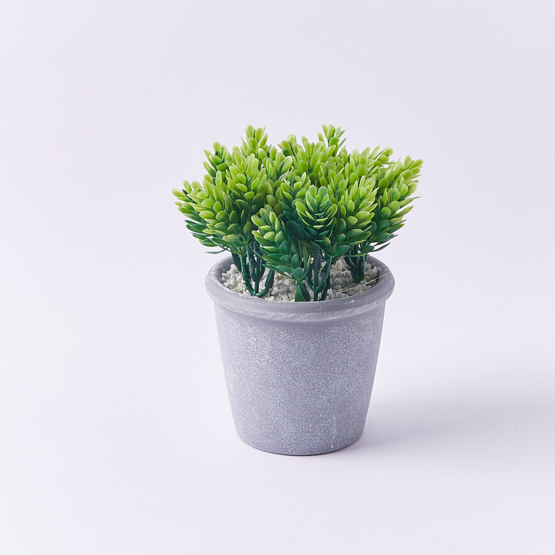 نبات الصنوبر الاصطناعي في إناء زرع - 16 سم-hbxdecorandfurnishings-homeaccessories-artificialflowersandplants-image-4