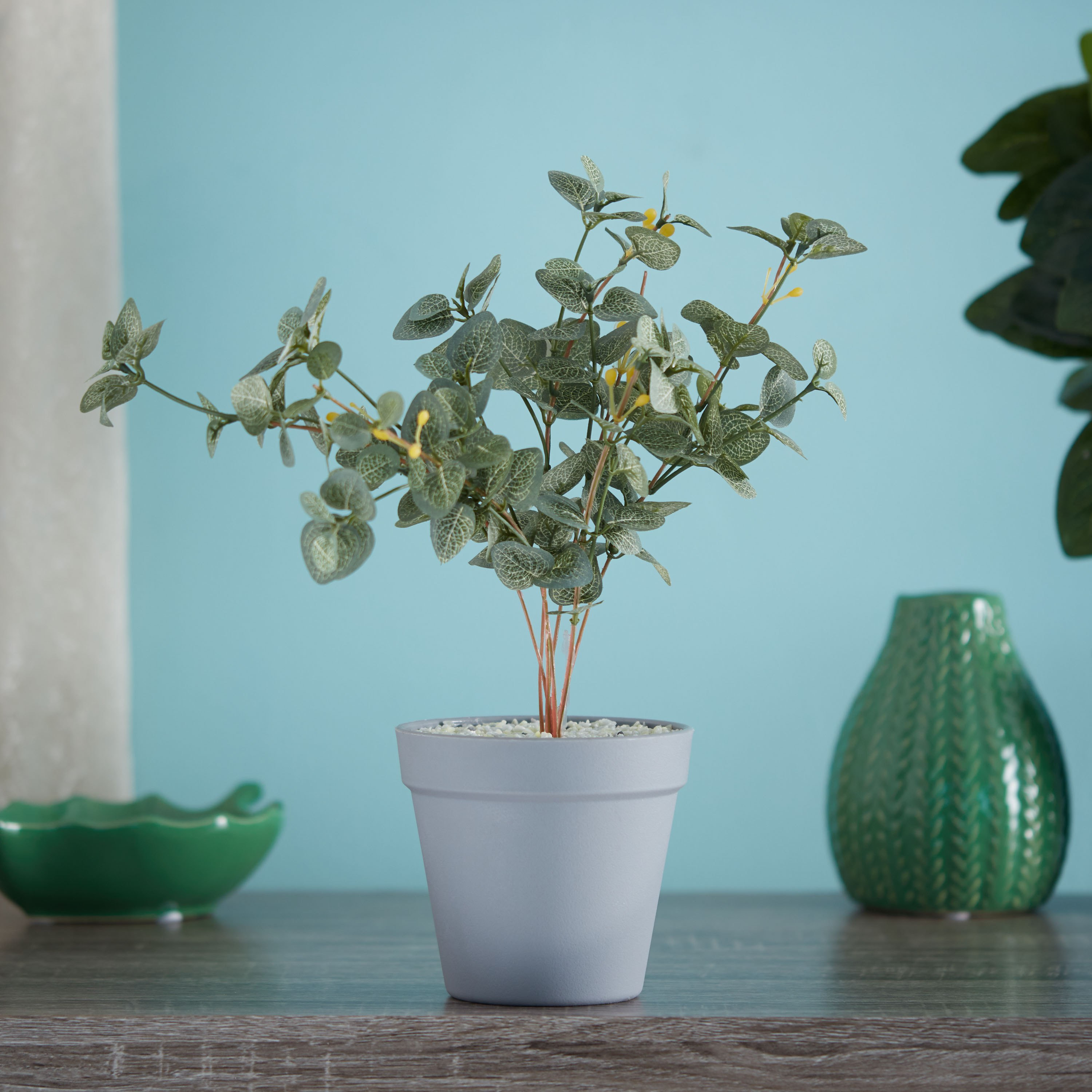نبتة صغيرة في إناء-hbxdecorandfurnishings-homeaccessories-artificialflowersandplants-image-1