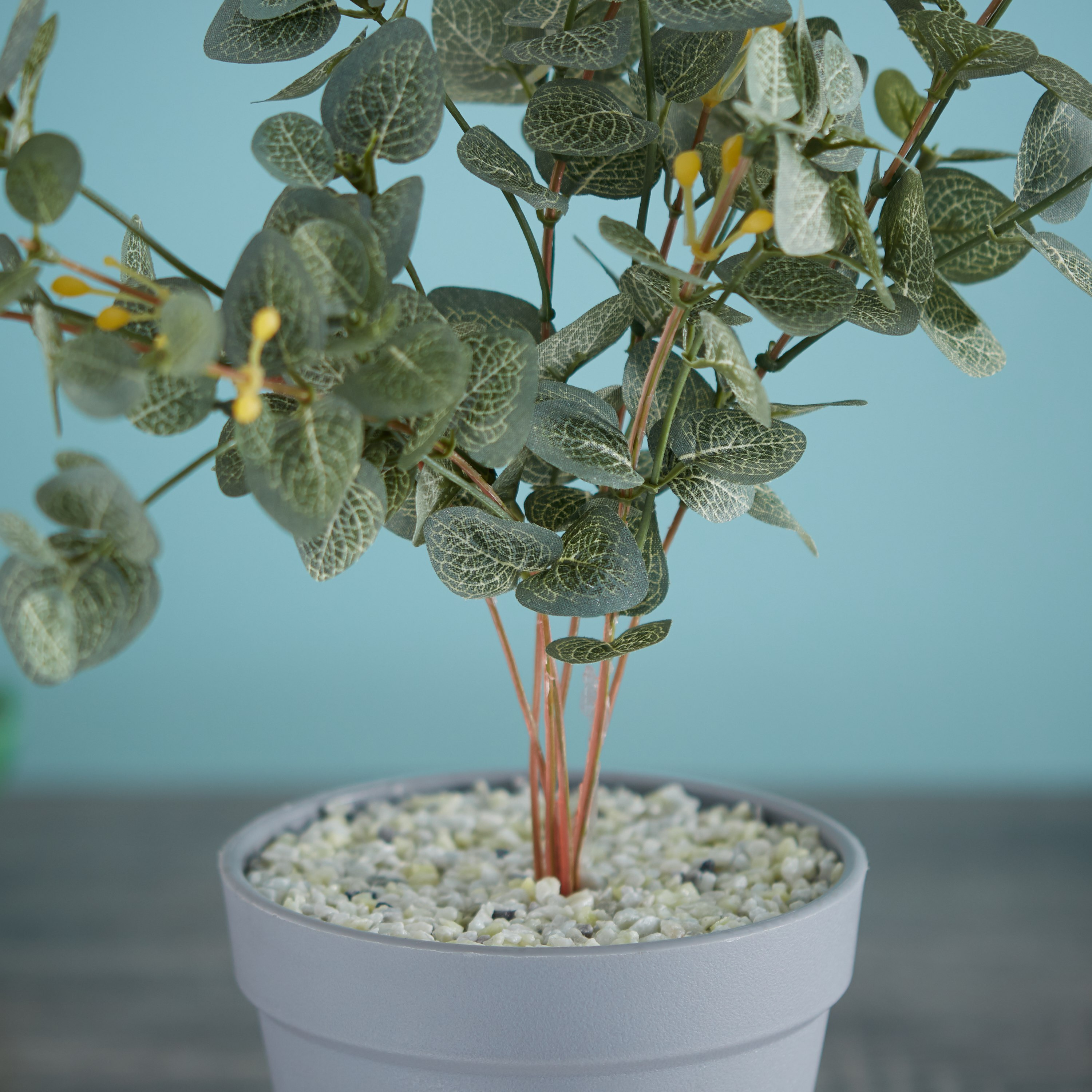 نبتة صغيرة في إناء-hbxdecorandfurnishings-homeaccessories-artificialflowersandplants-image-2