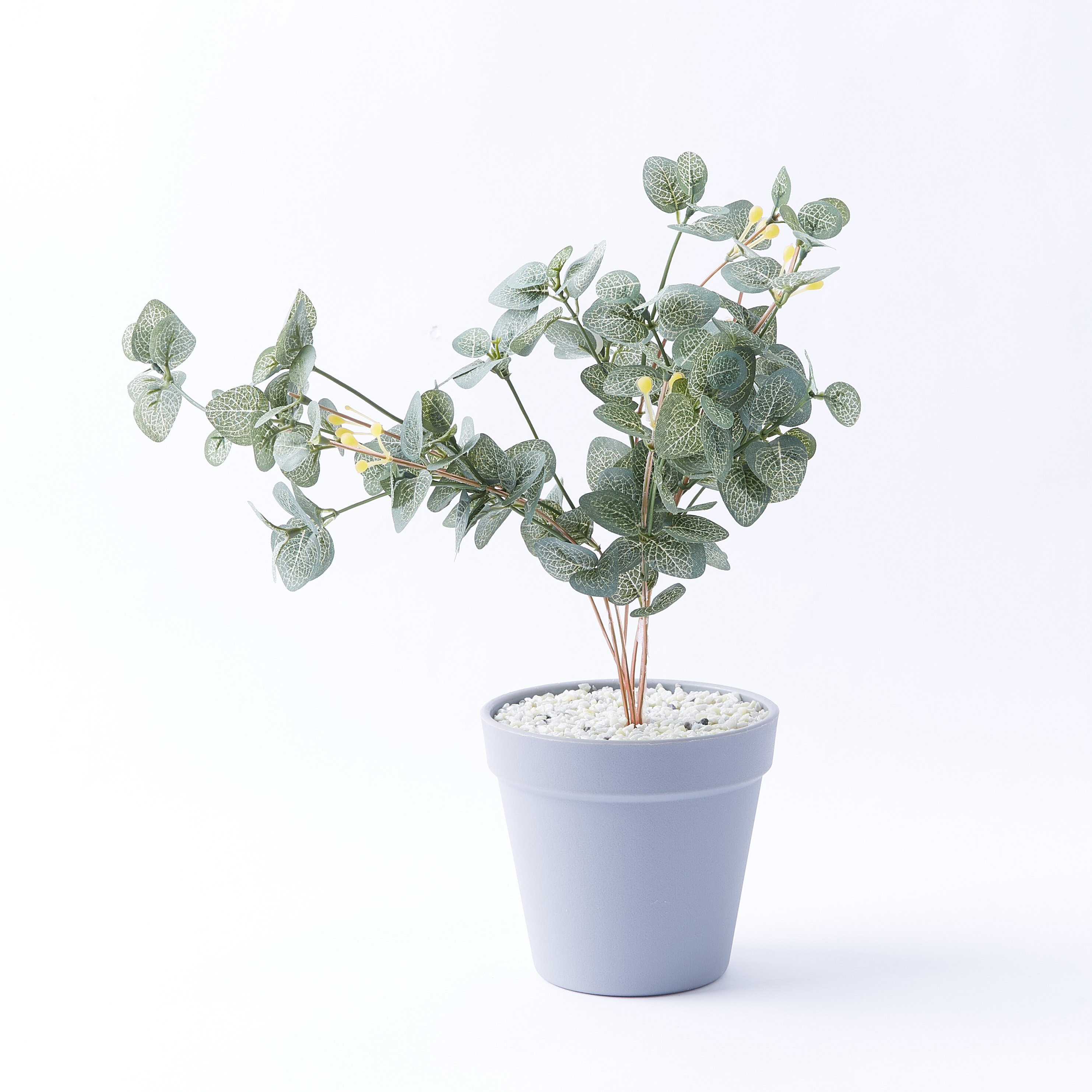 نبتة صغيرة في إناء-hbxdecorandfurnishings-homeaccessories-artificialflowersandplants-image-3