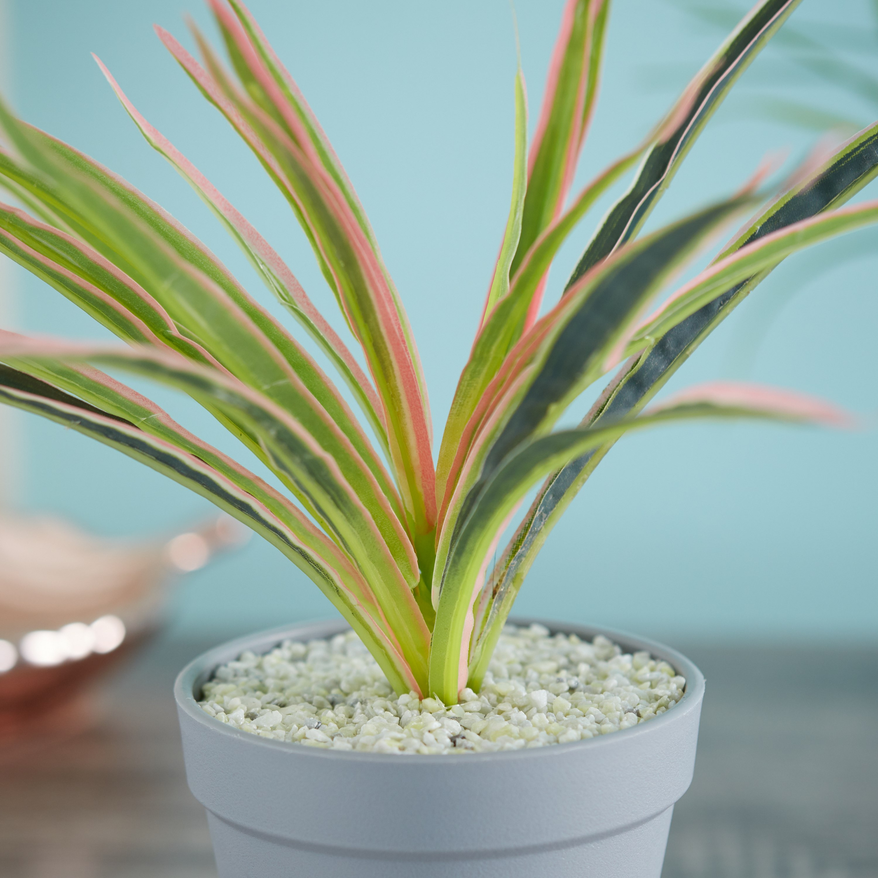 Grass Potted Plant-hbxdecorandfurnishings-homeaccessories-artificialflowersandplants-image-2