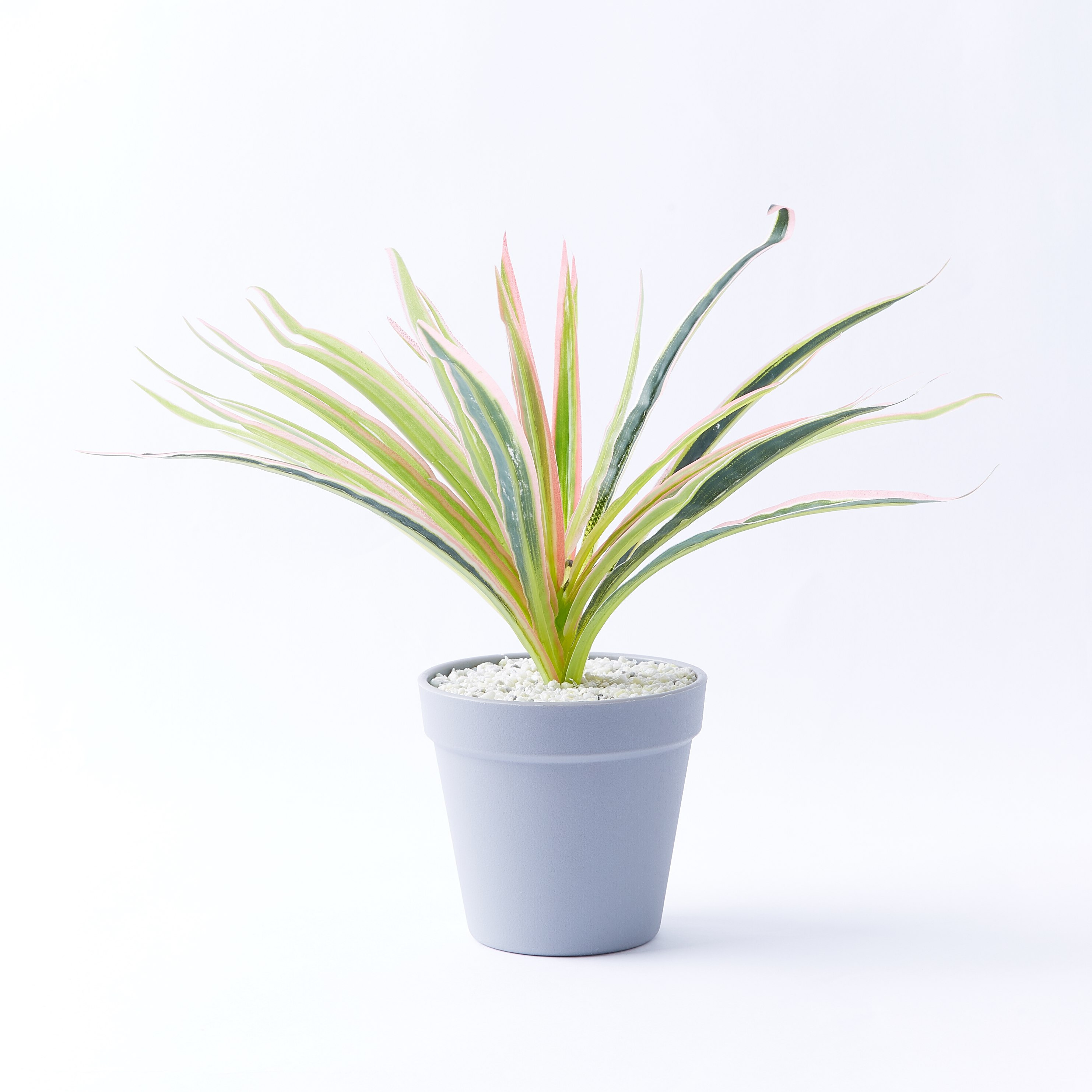 Grass Potted Plant-hbxdecorandfurnishings-homeaccessories-artificialflowersandplants-image-4
