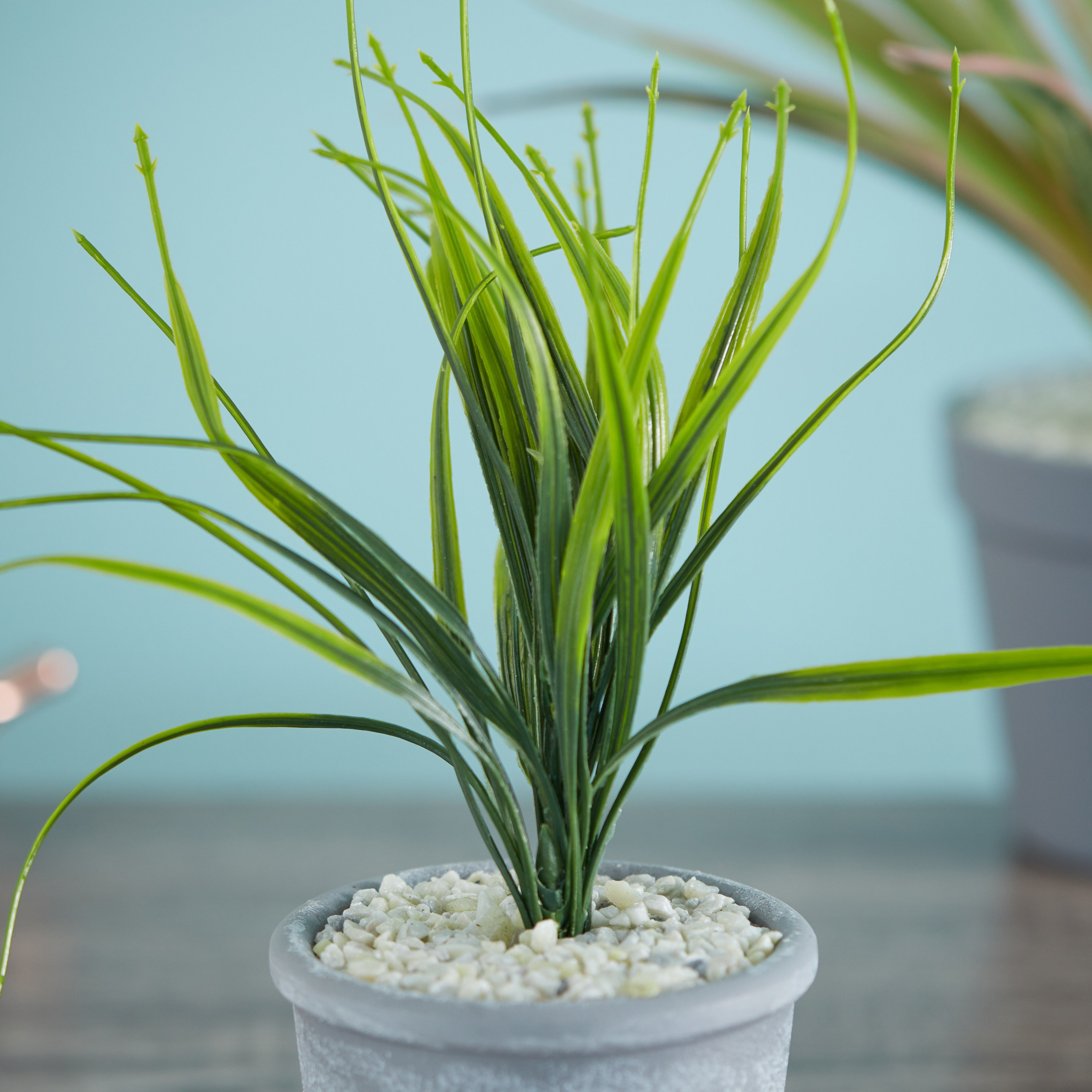 إناء نبات اصطناعي-hbxdecorandfurnishings-homeaccessories-artificialflowersandplants-image-2