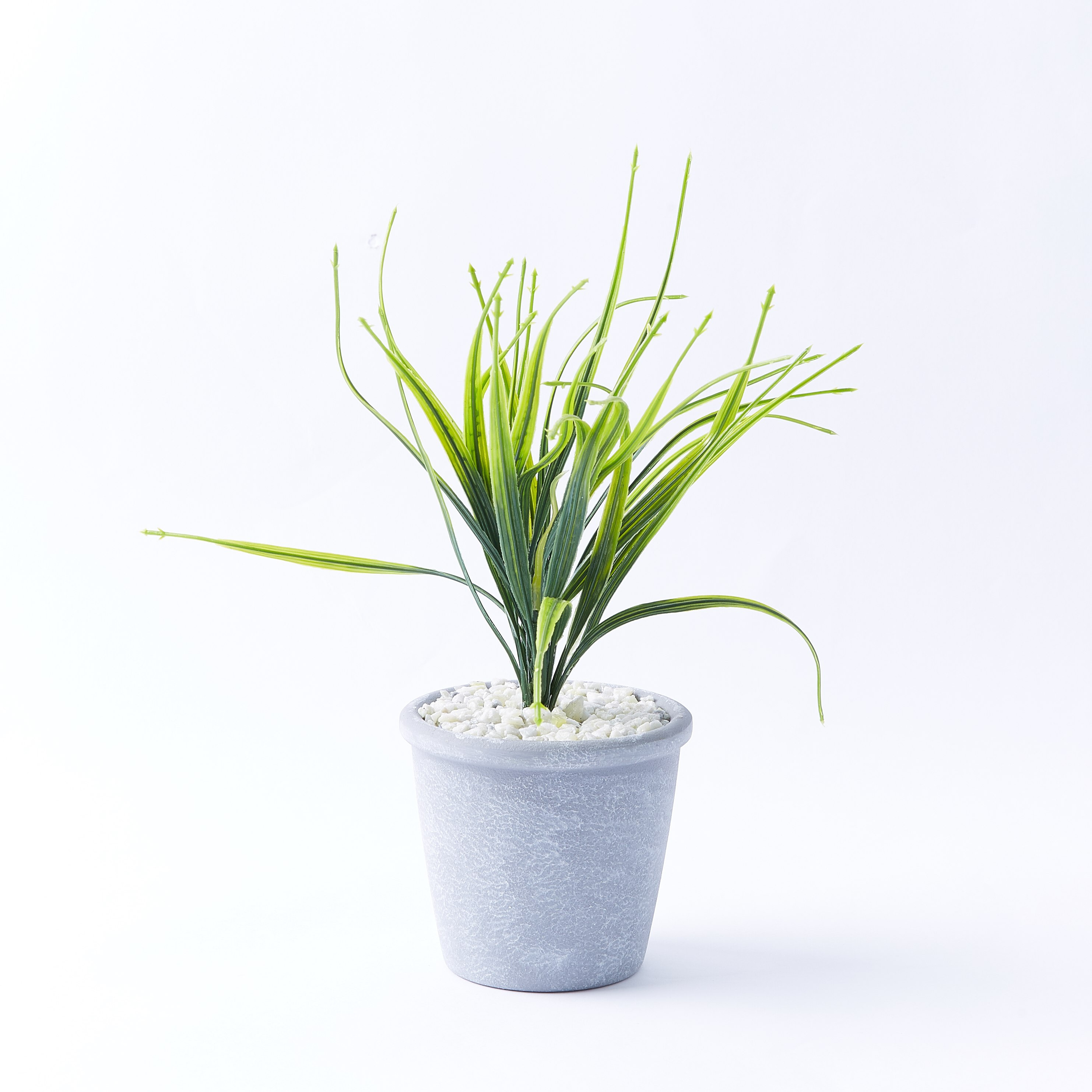 إناء نبات اصطناعي-hbxdecorandfurnishings-homeaccessories-artificialflowersandplants-image-4
