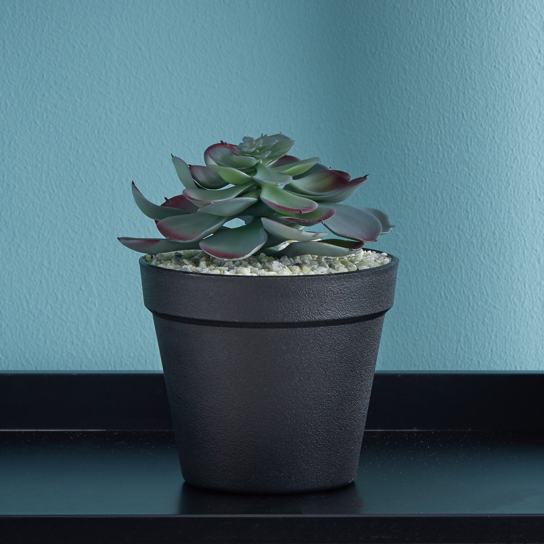 نبتة عصاري في إصيص -  23 سم-hbxdecorandfurnishings-homeaccessories-artificialflowersandplants-image-1