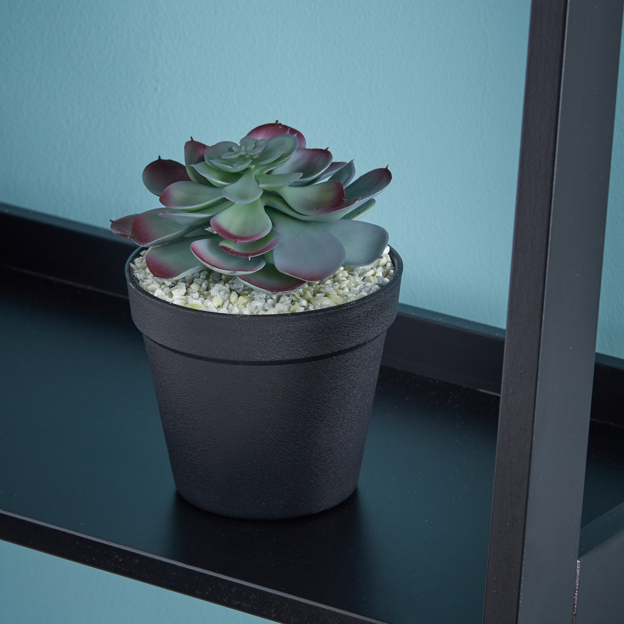 نبتة عصاري في إصيص -  23 سم-hbxdecorandfurnishings-homeaccessories-artificialflowersandplants-image-2
