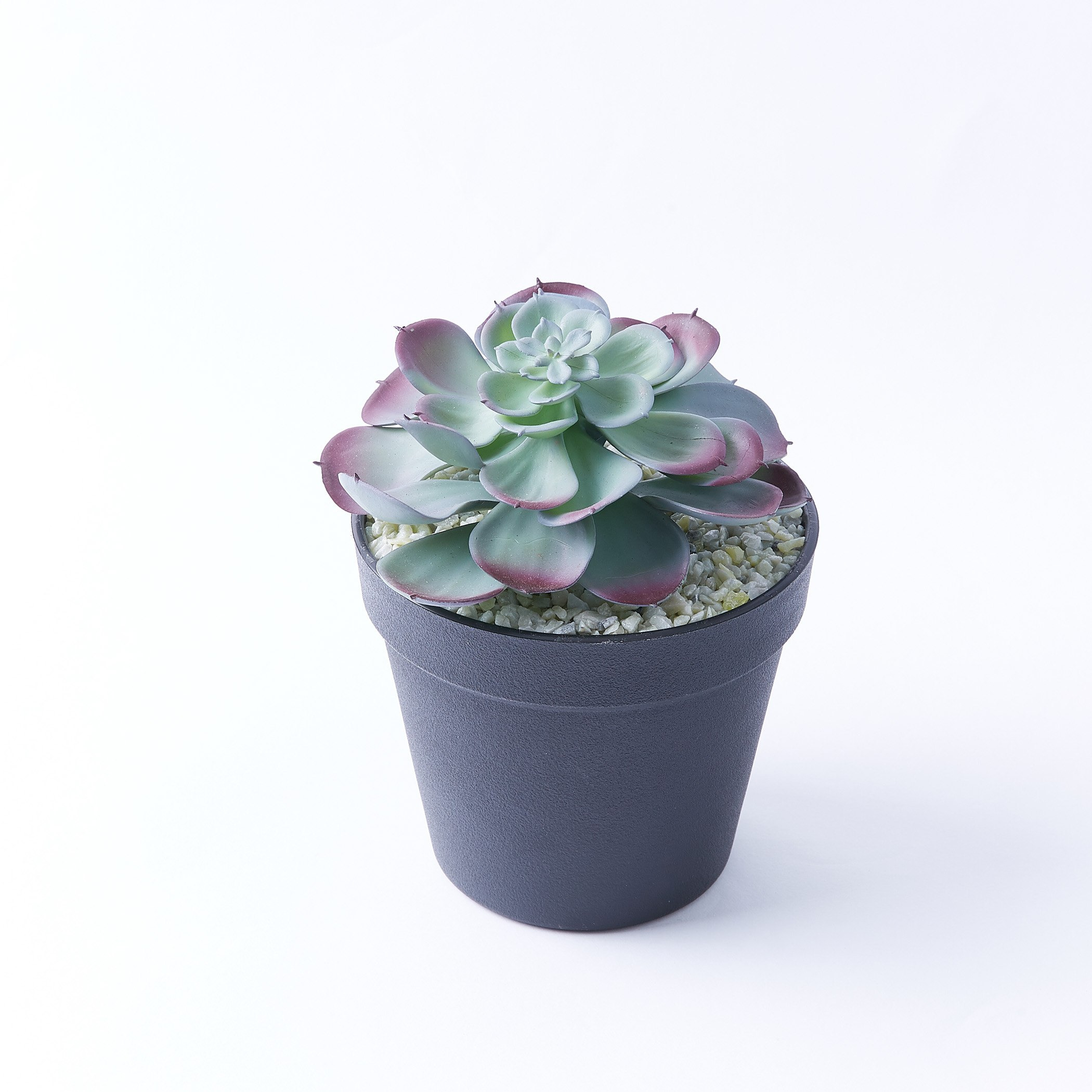 نبتة عصاري في إصيص -  23 سم-hbxdecorandfurnishings-homeaccessories-artificialflowersandplants-image-5